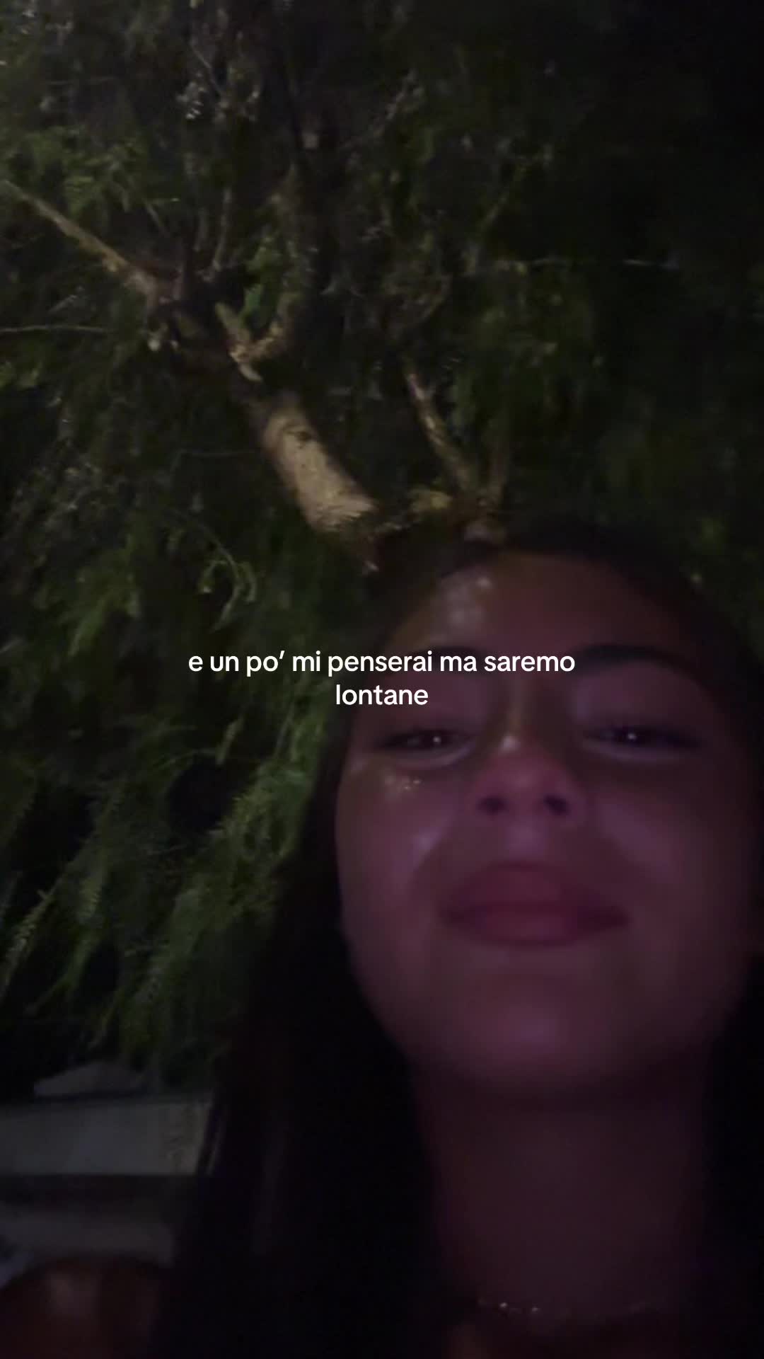 @spamdikekki