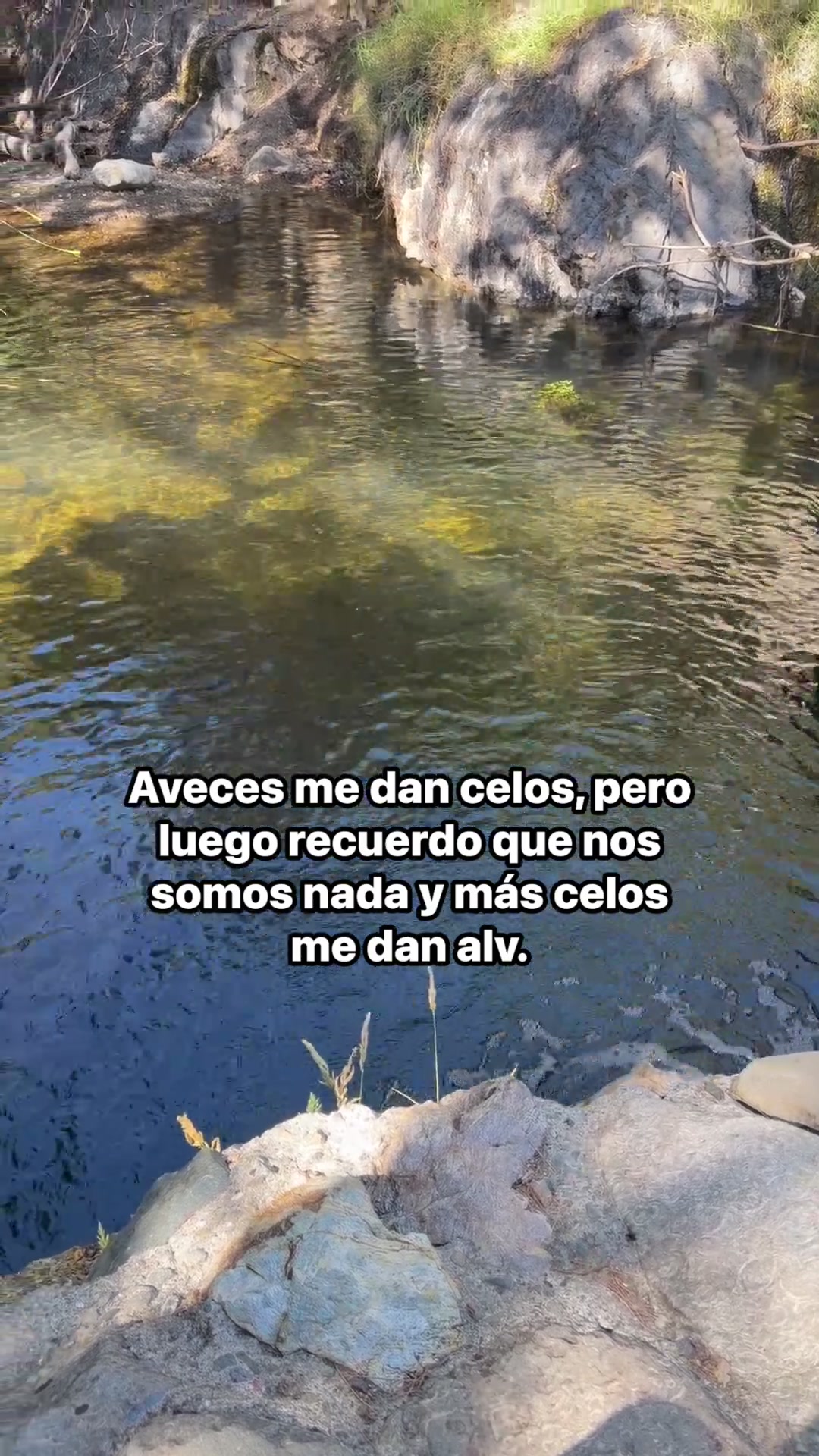 @🦋🐢🦋