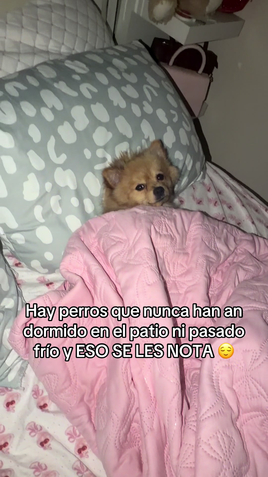 @Yennifer 🎀🌻