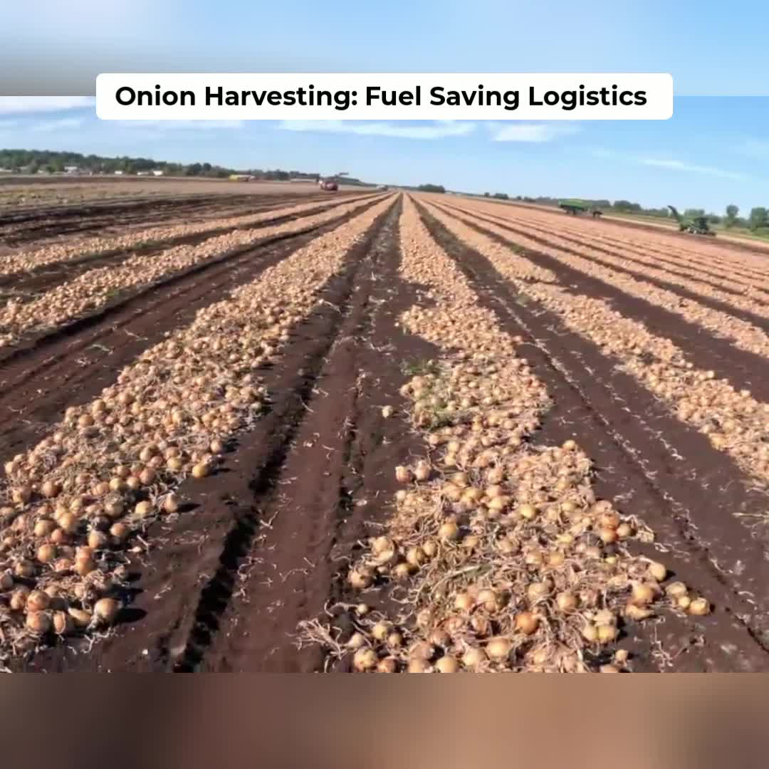 @Kip Siegler Farming