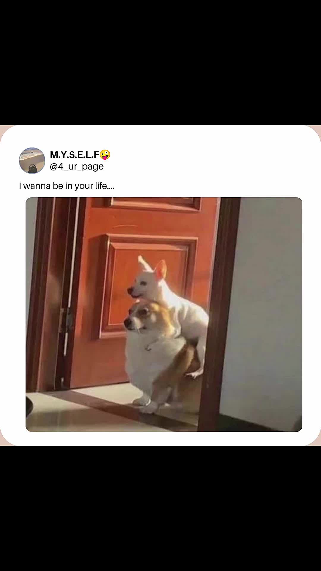 @M.Y.S.E.L.F🤪