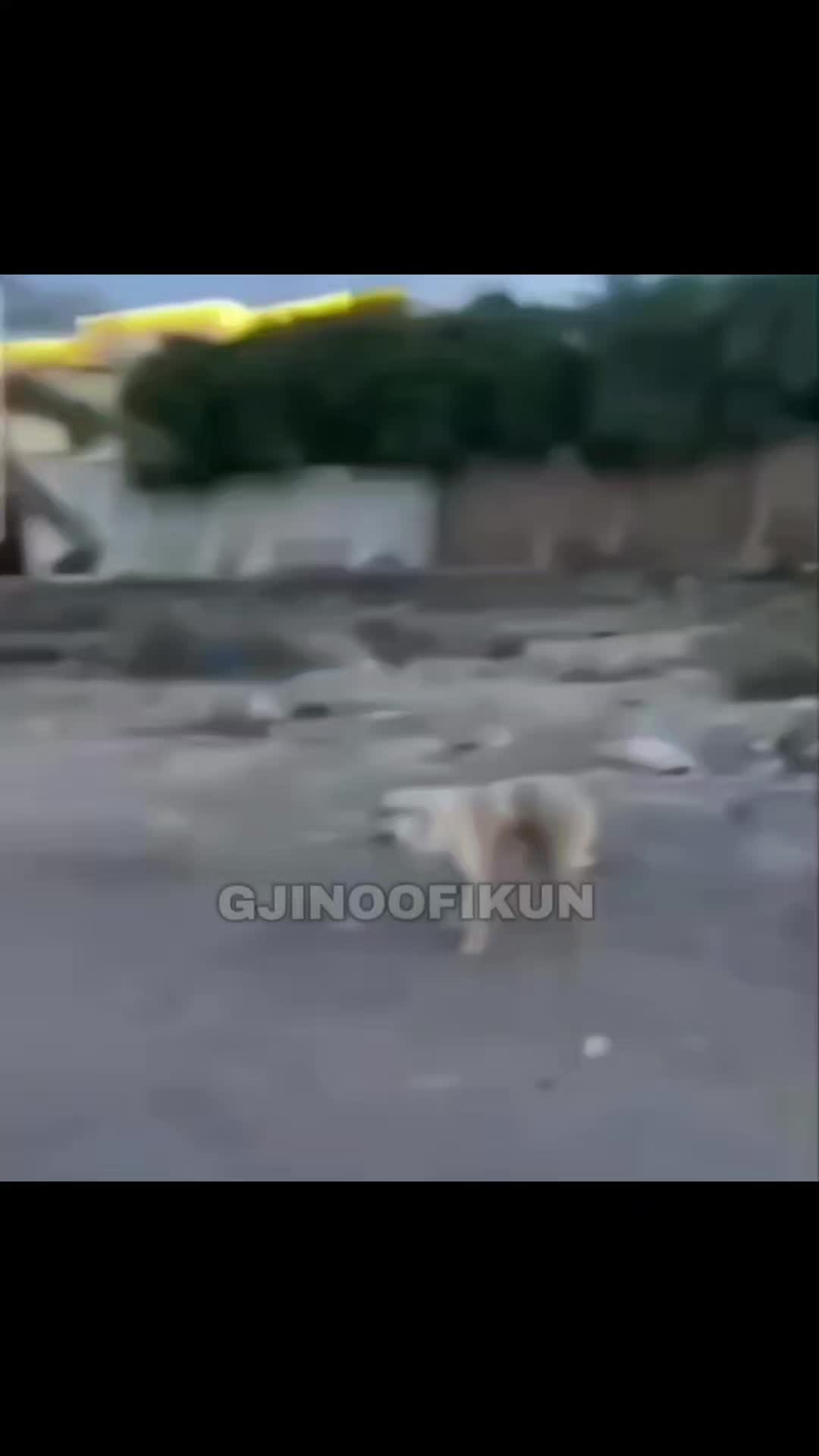 @GJINOOFIKUN🇦🇱✅️