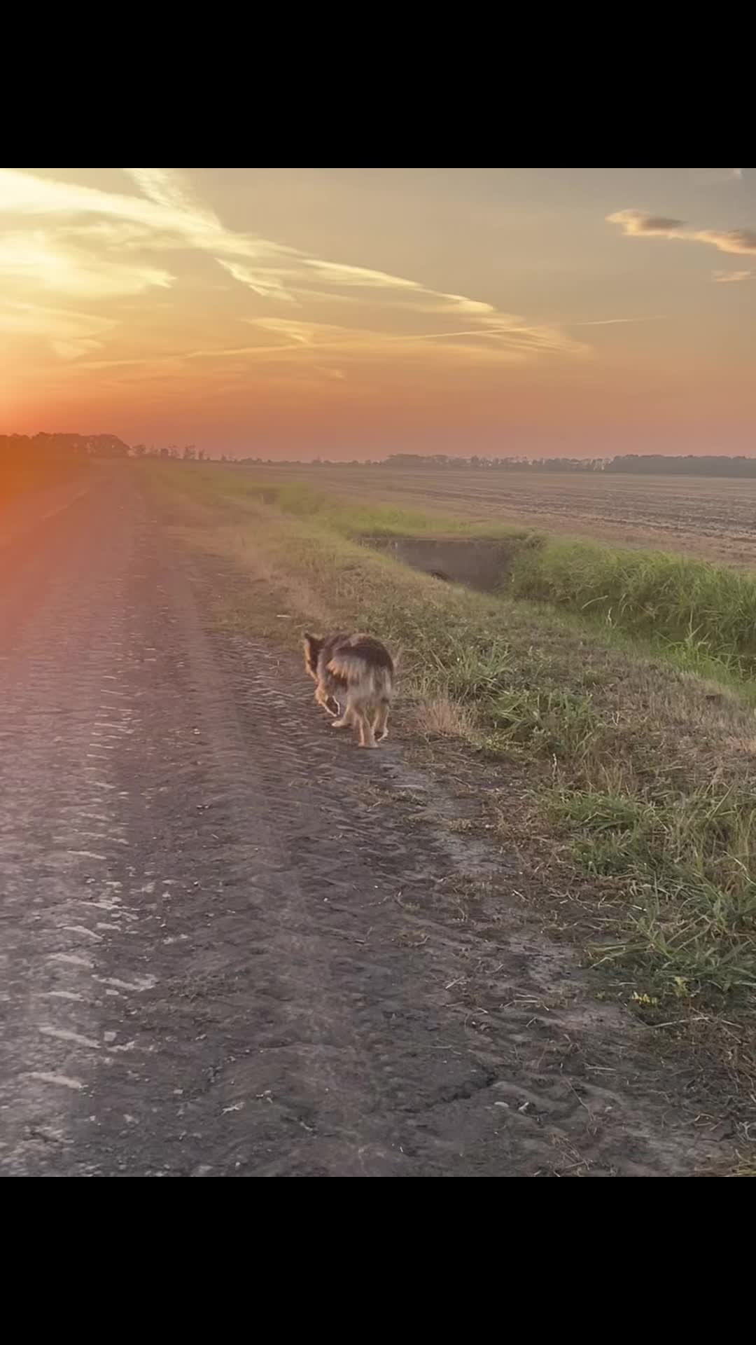 @Bogesz🖤🐼