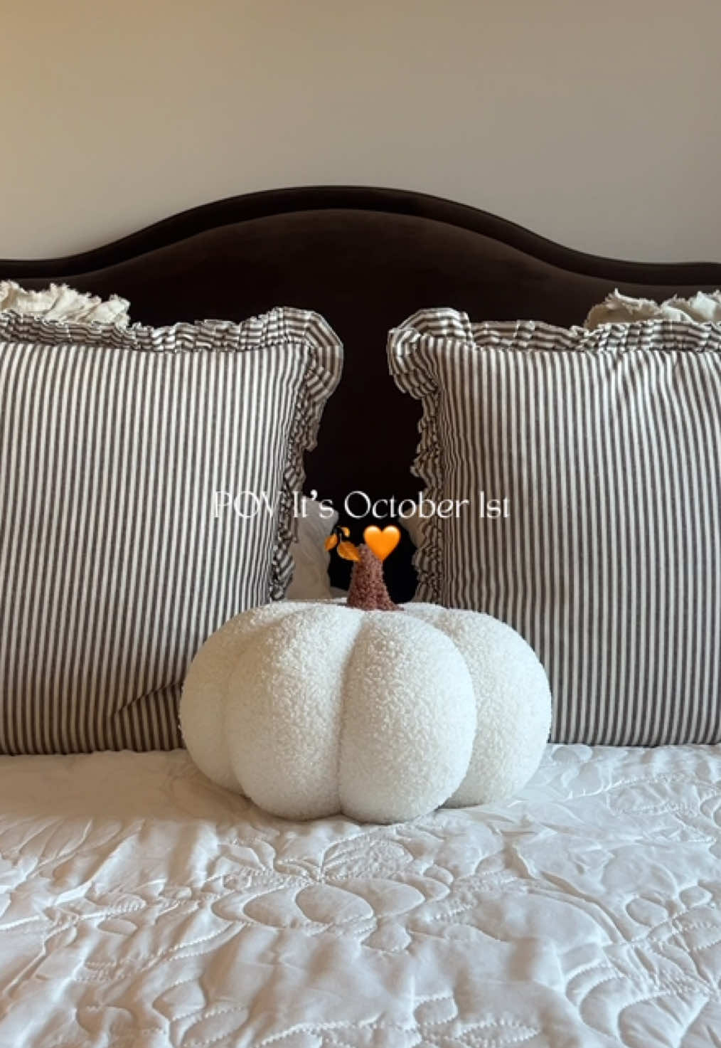 @ccharlottebboydx