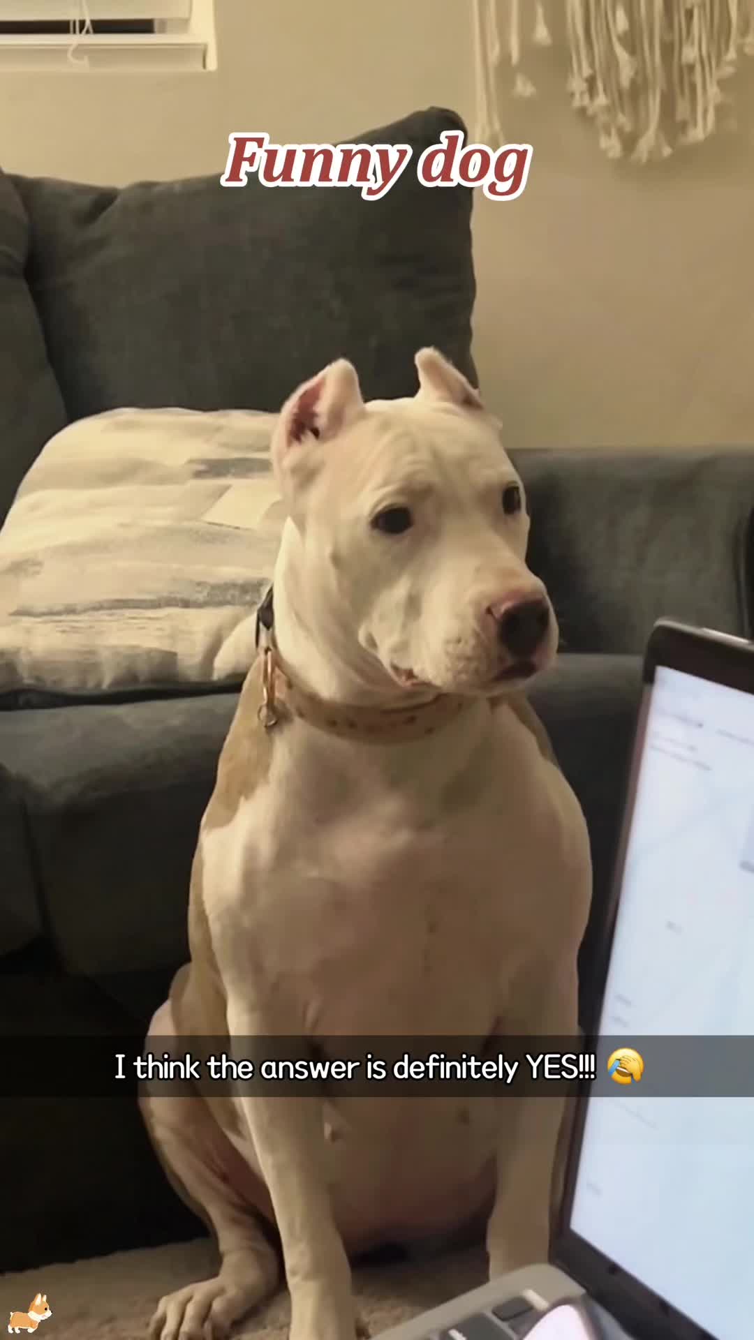 @SneakyFails