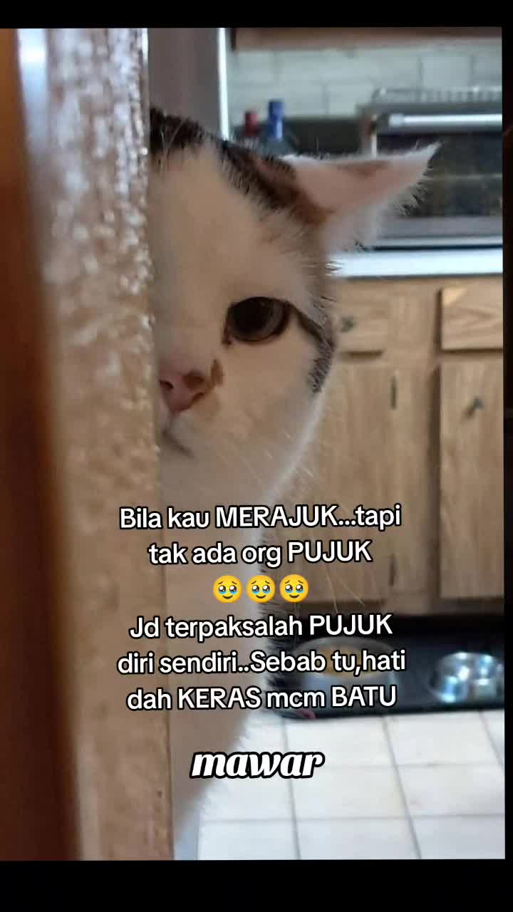 @🔐Mะวะร🔐