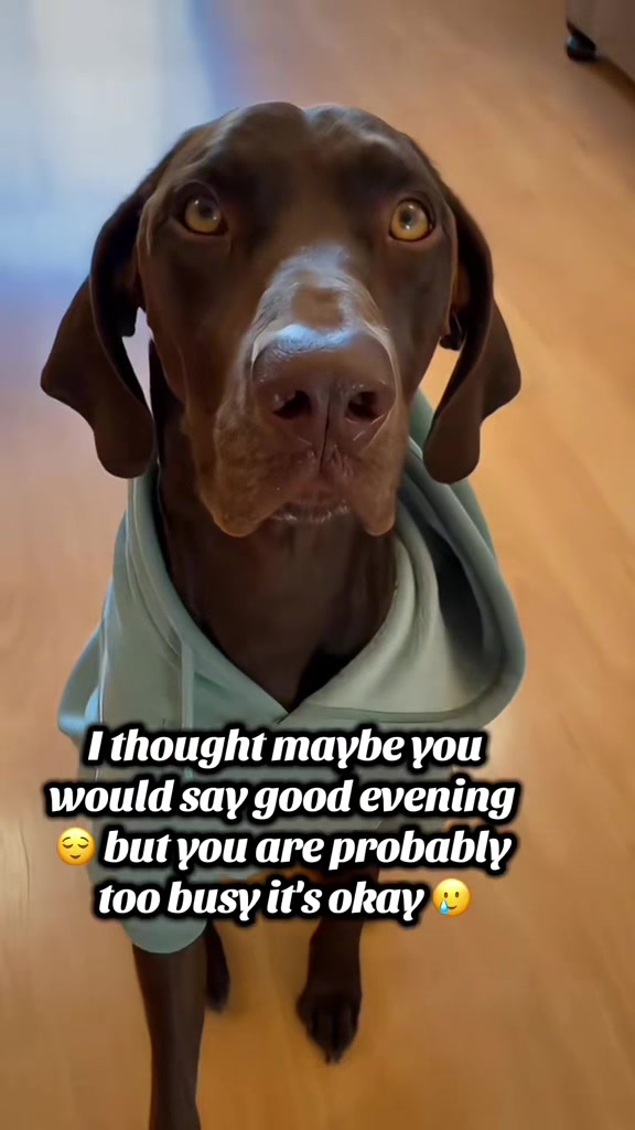 @Rocky_and_mom 🐾❤️🐶