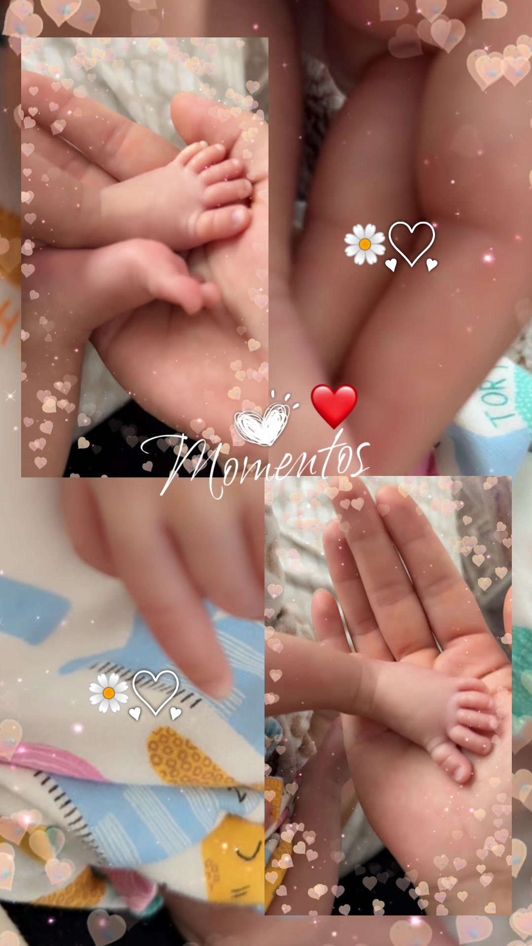 @✨✨✨ستاره سادات ✨✨✨