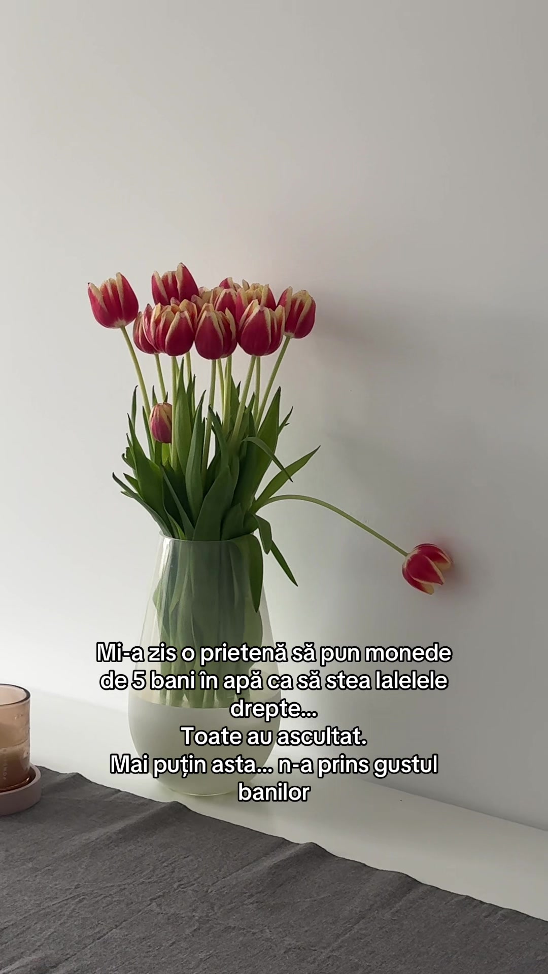 @Adina Toader