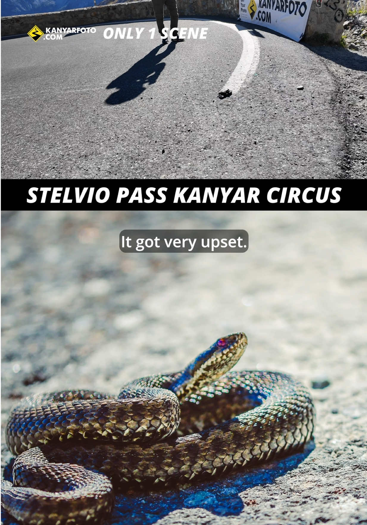 @Kanyarfoto