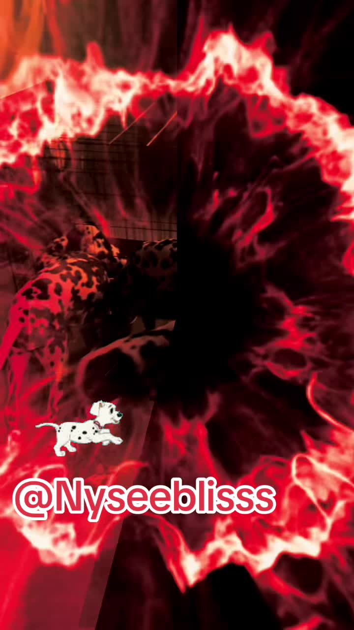 @djblisss5