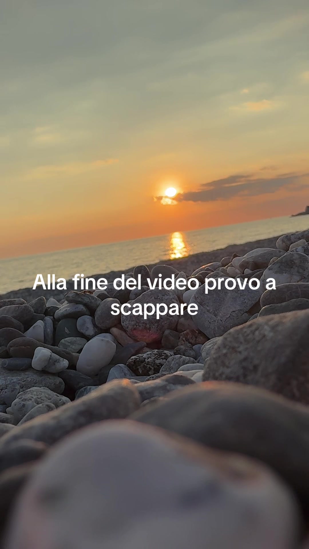@Monica Avolio