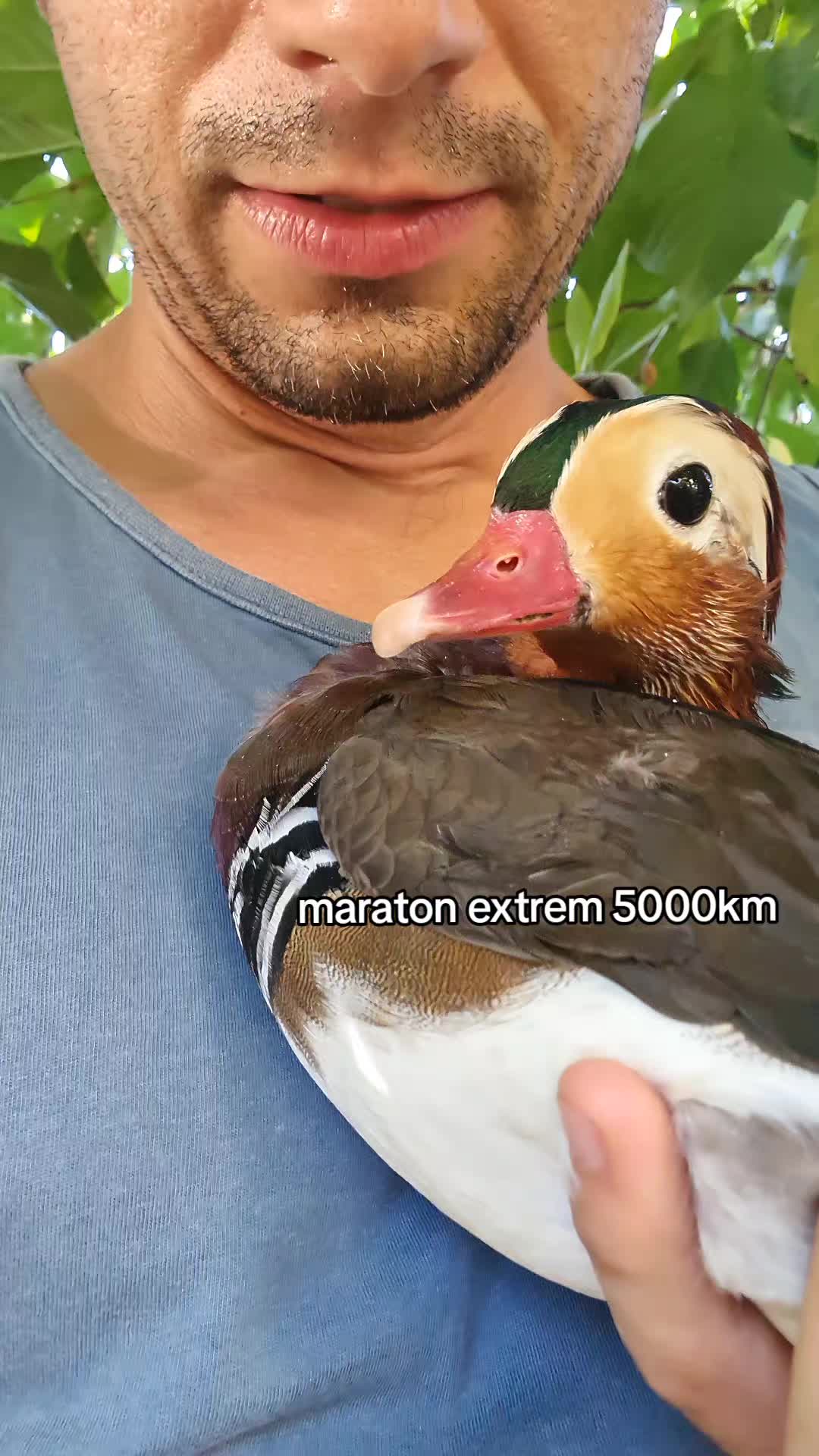 @Bogdan Hriscu