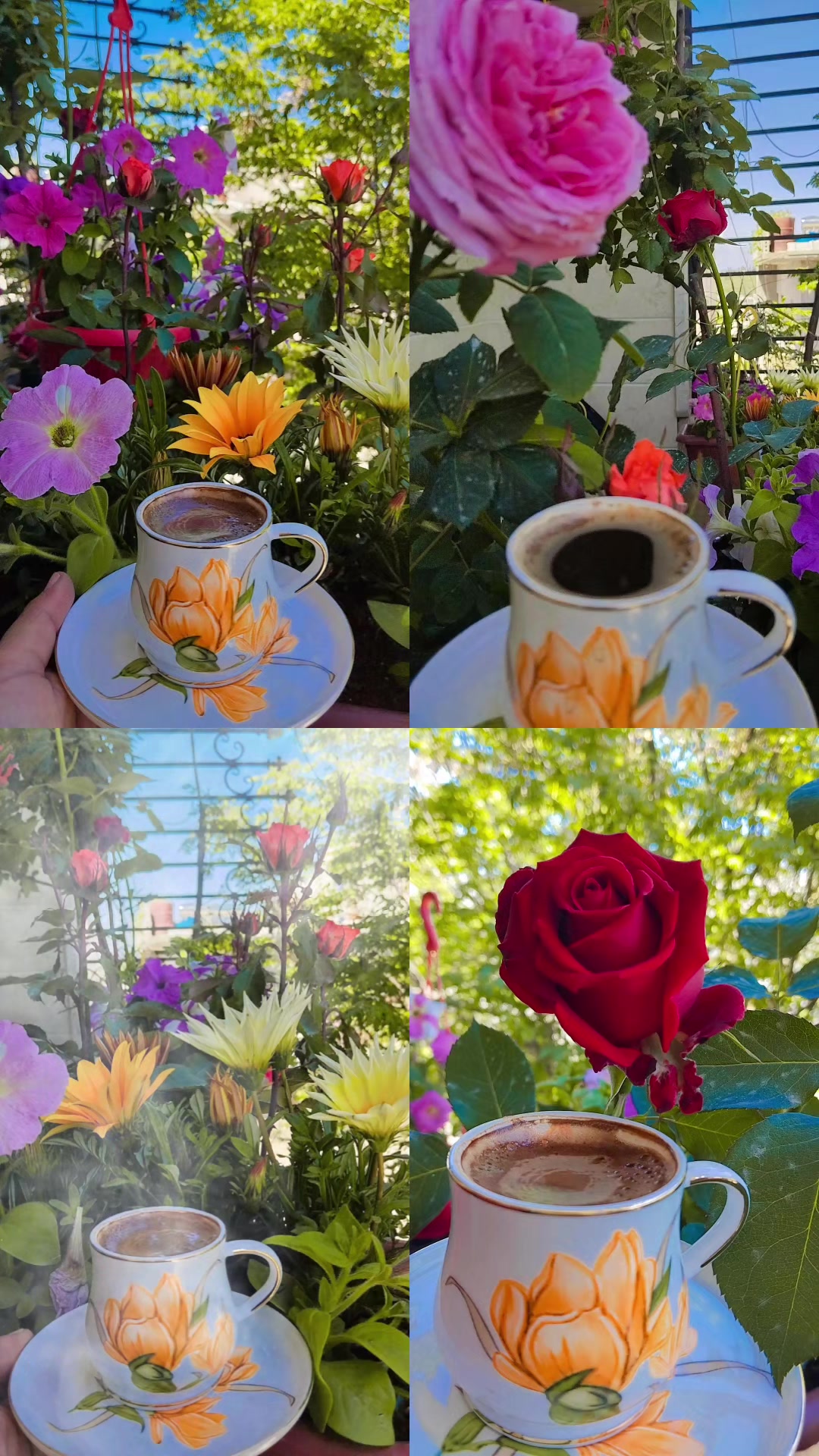 @ام ريان♥️