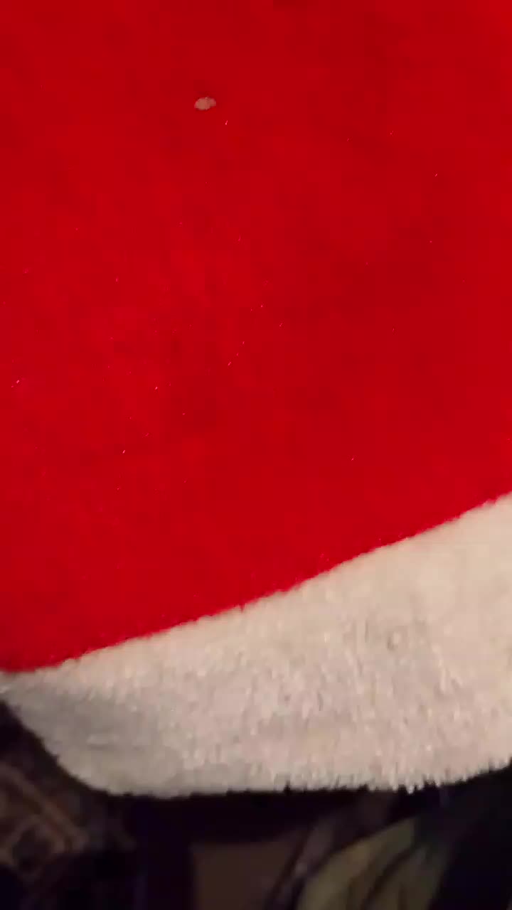 @David186282⚡