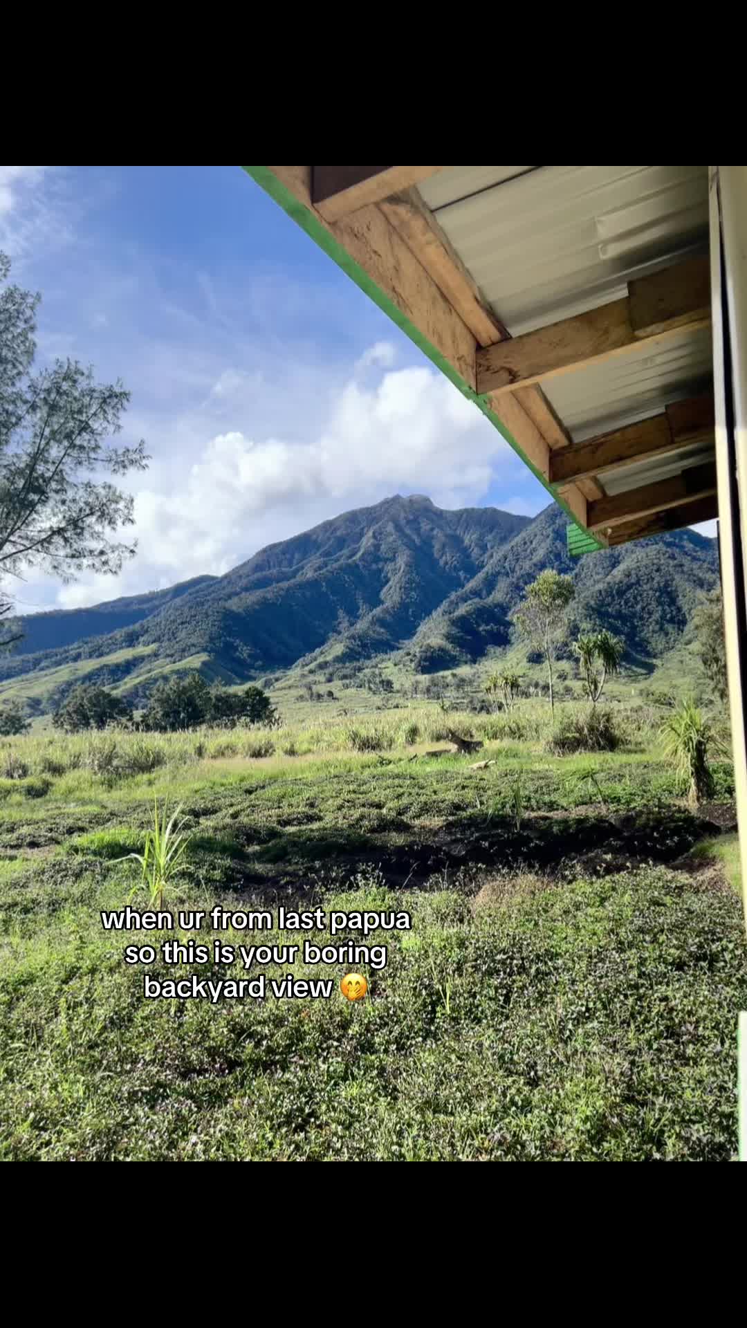 @melanesiana
