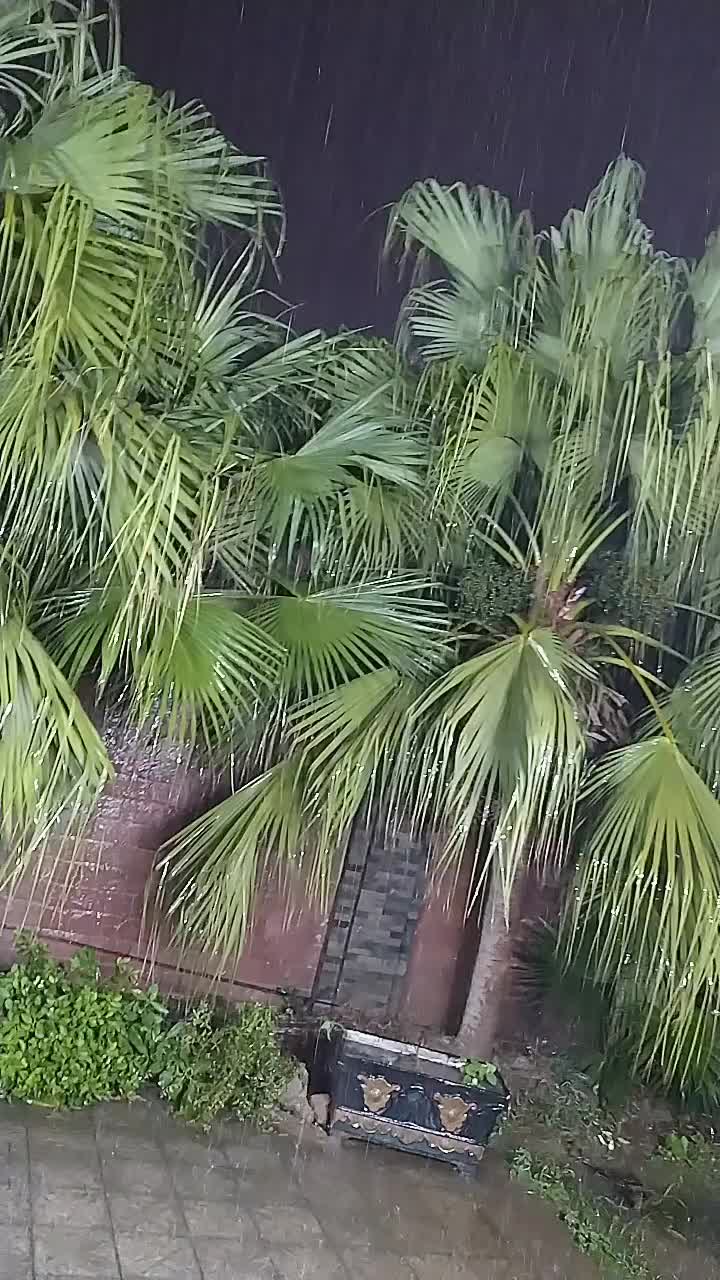 @Haris Butt Official ......&hearts;️