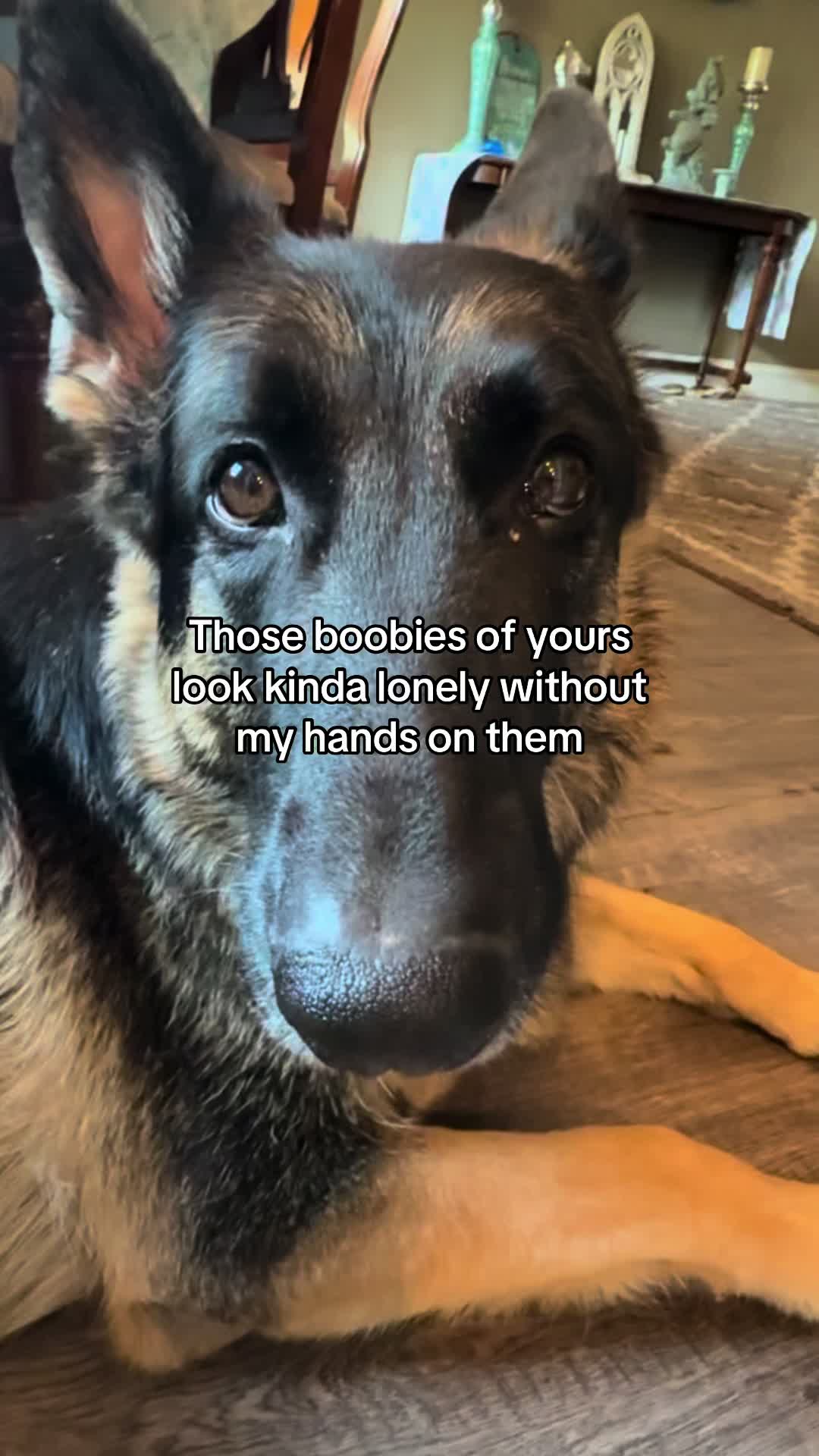 @Bhris