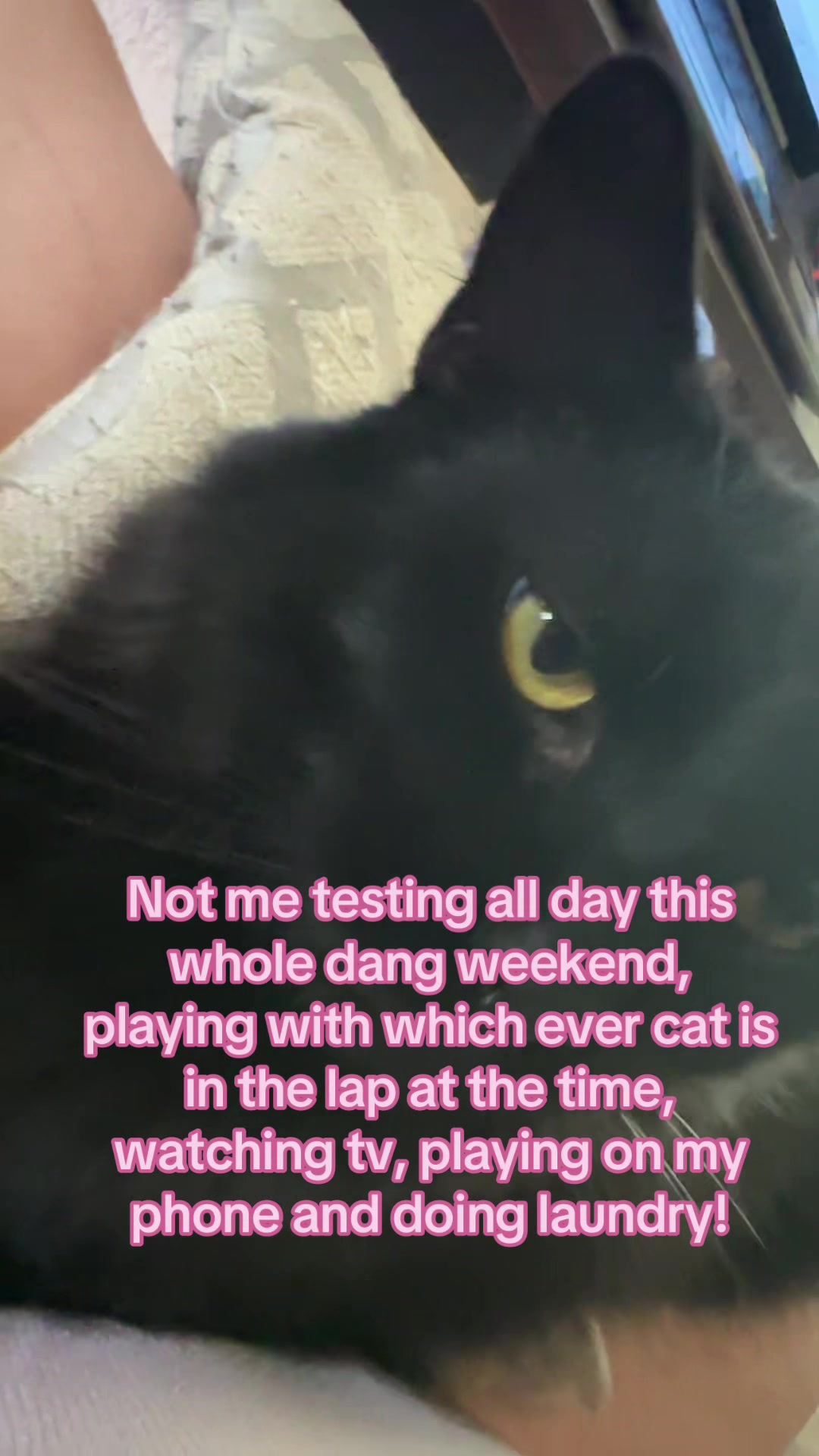 @Sarah