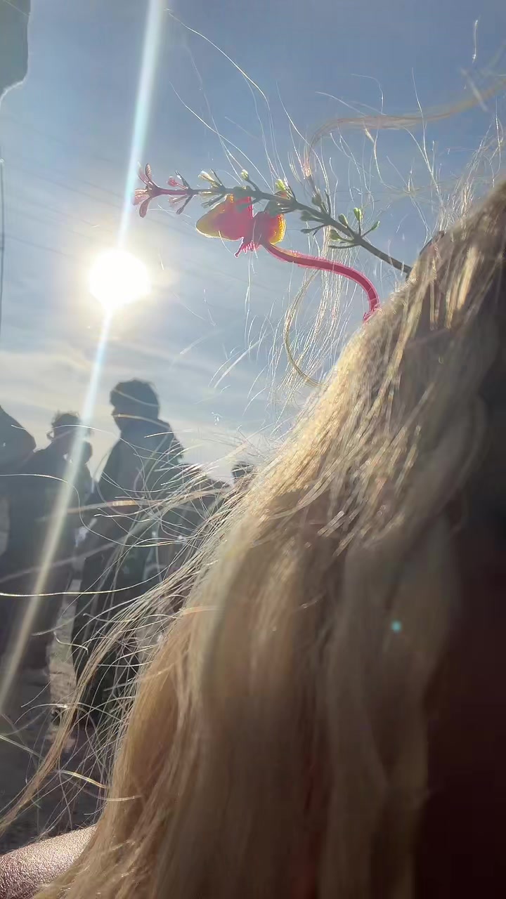 @g