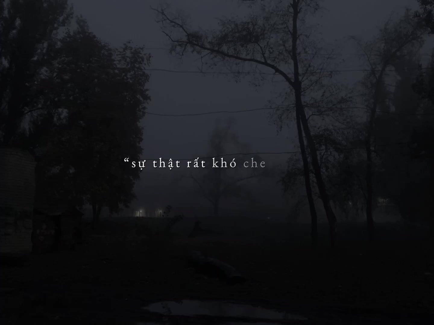 @˚˖𓍢ducwtaif✧˚.⋆