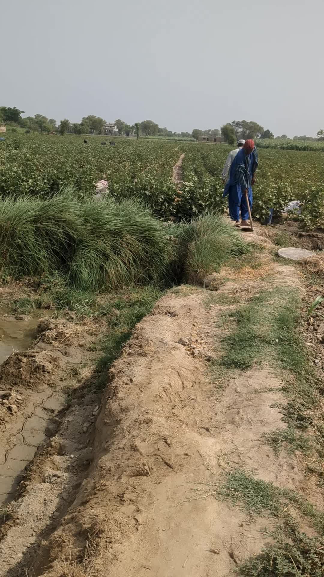 @Baba cement wala