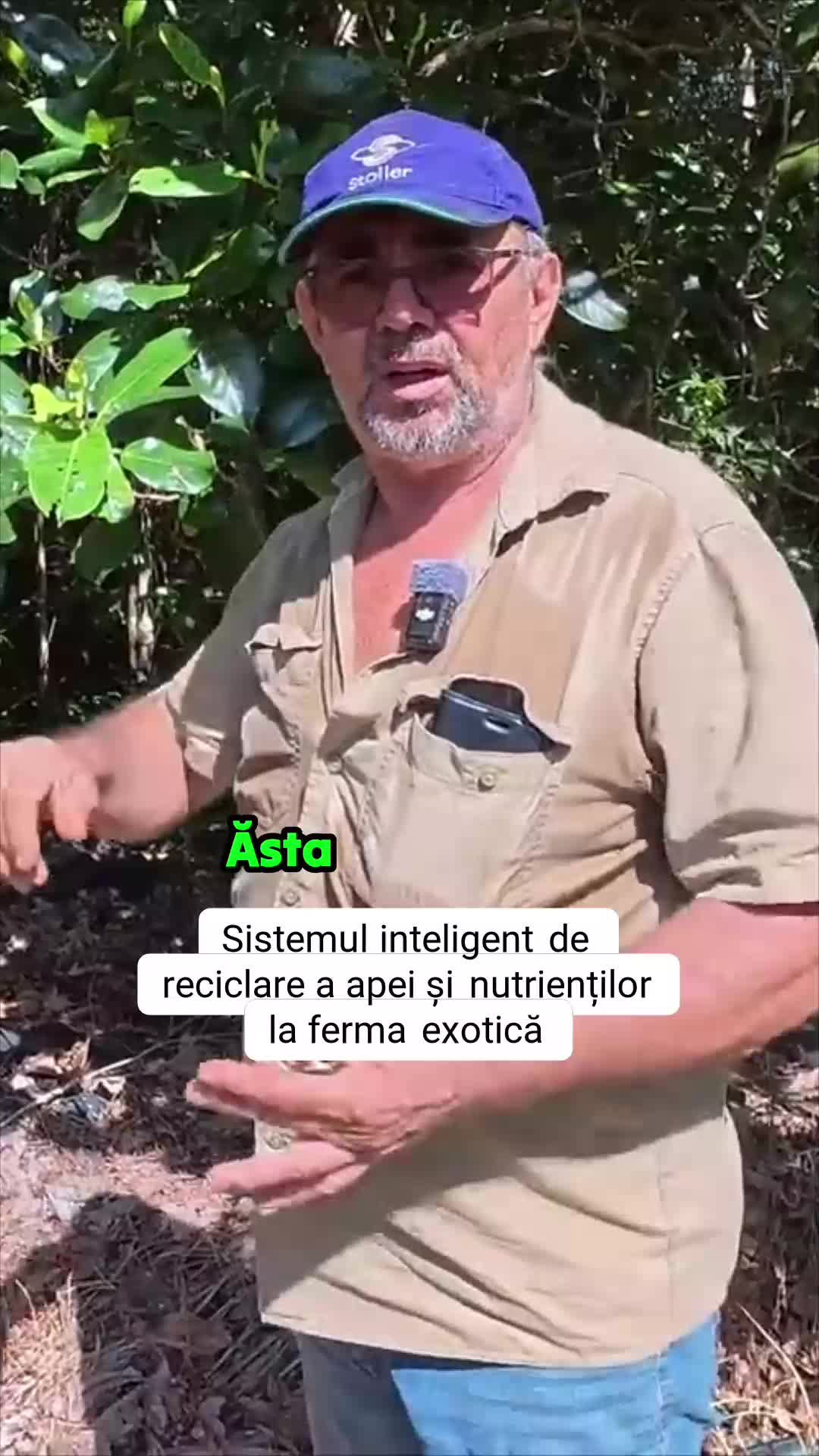 @sorinaa