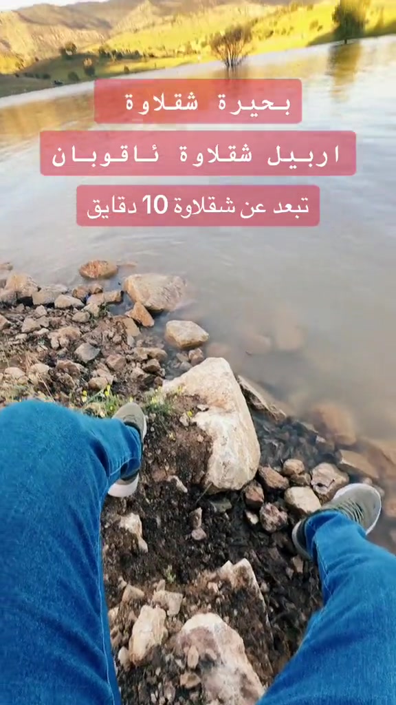 @شاليهات شقلاوة