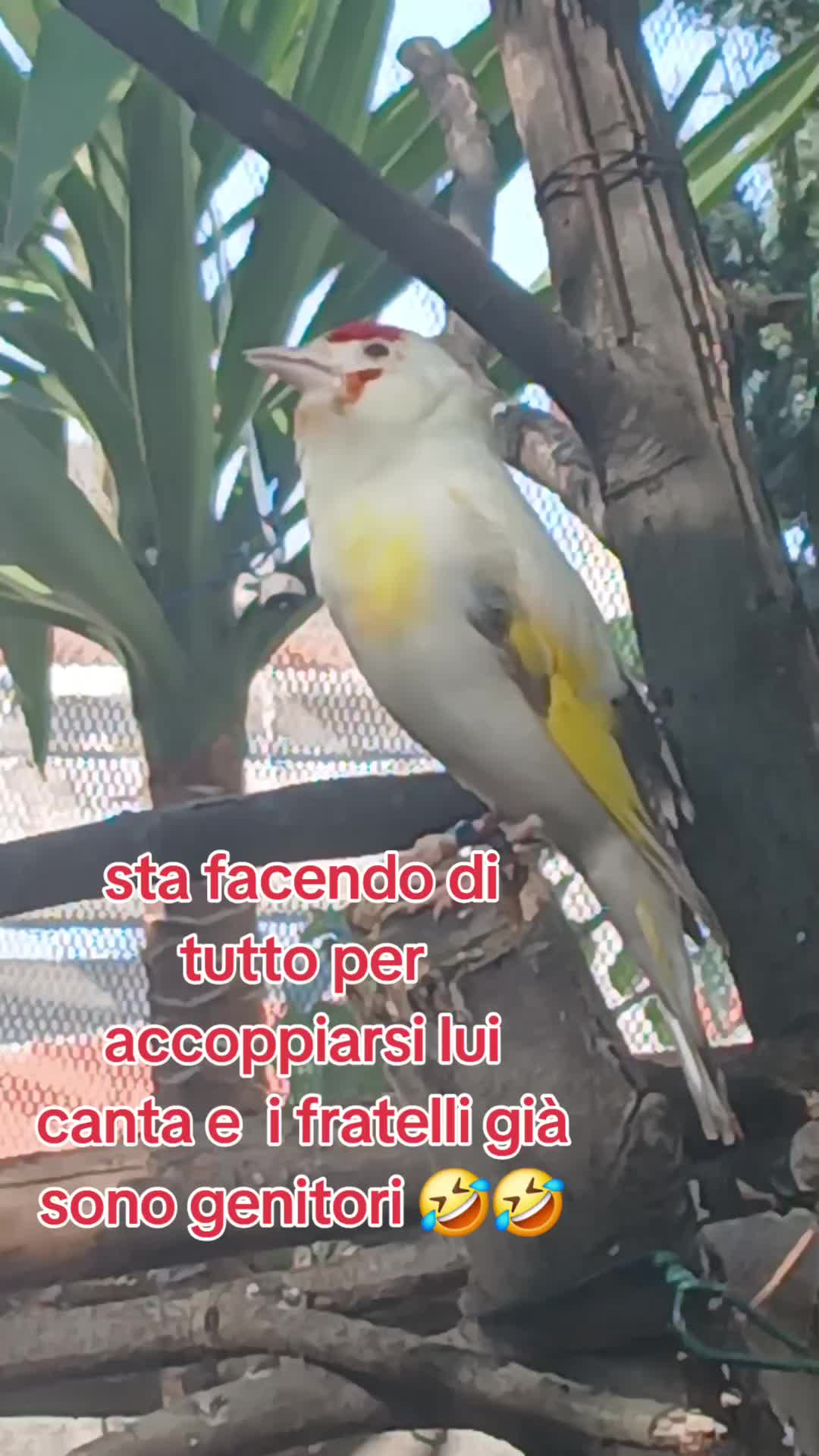 @Leonardo Dellacorte