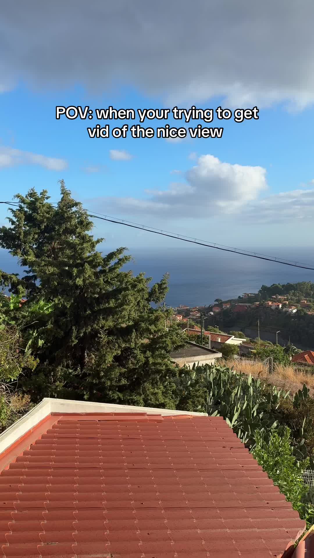 @JanetG🇵🇹