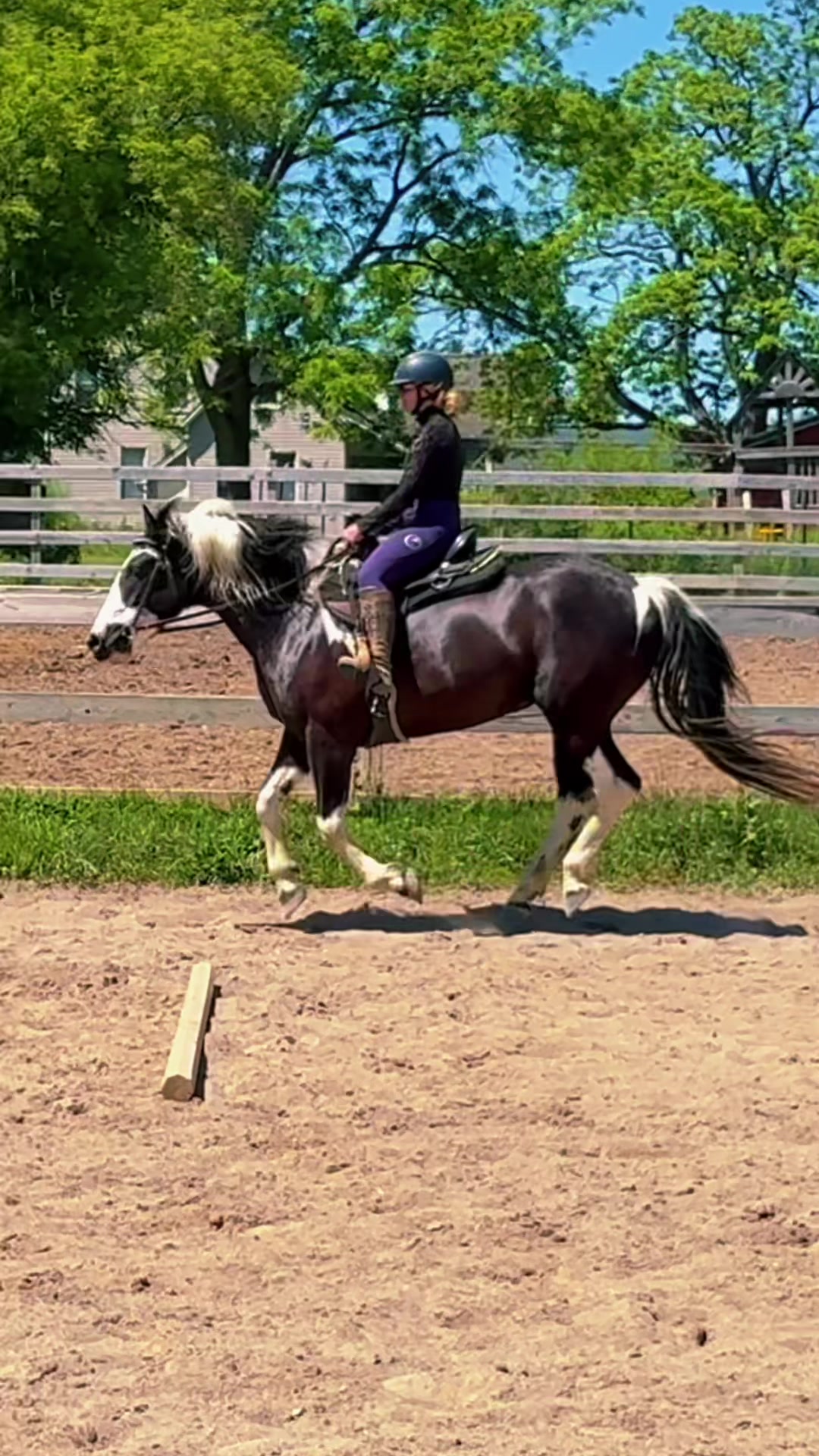 @Free Spirit Equestrian