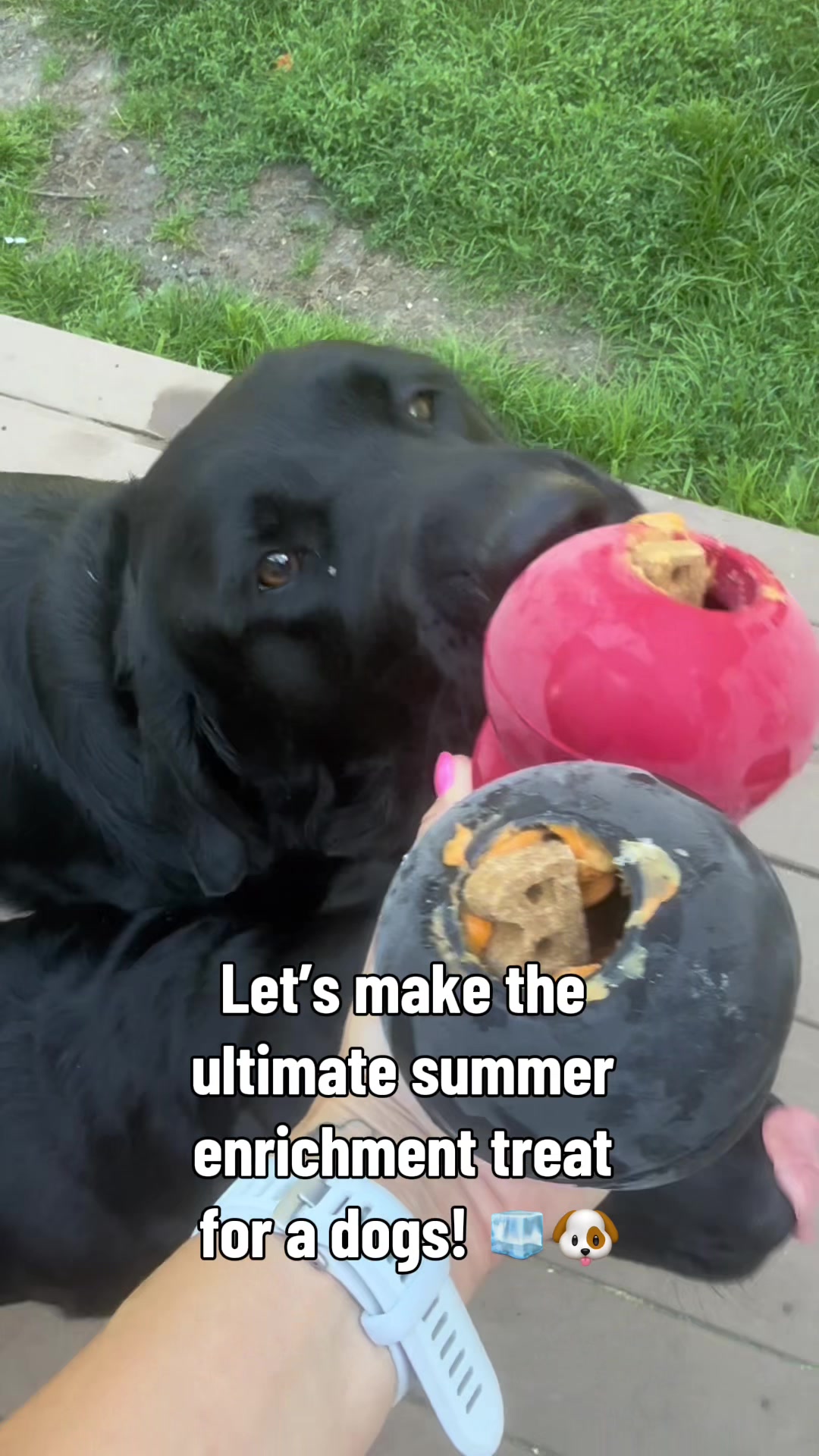 @DennisTheBlackLab