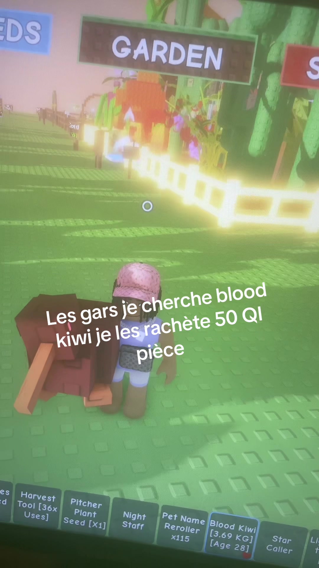 @Seyli 🎮👾