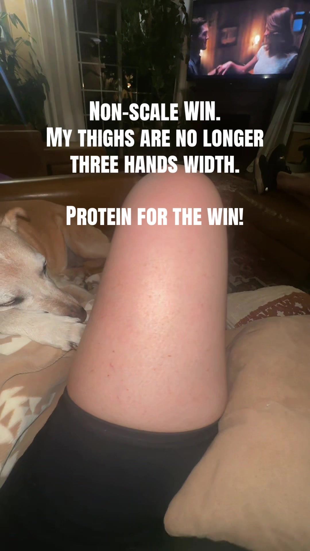 @Bee.Carnivore ❌🇺🇸💪