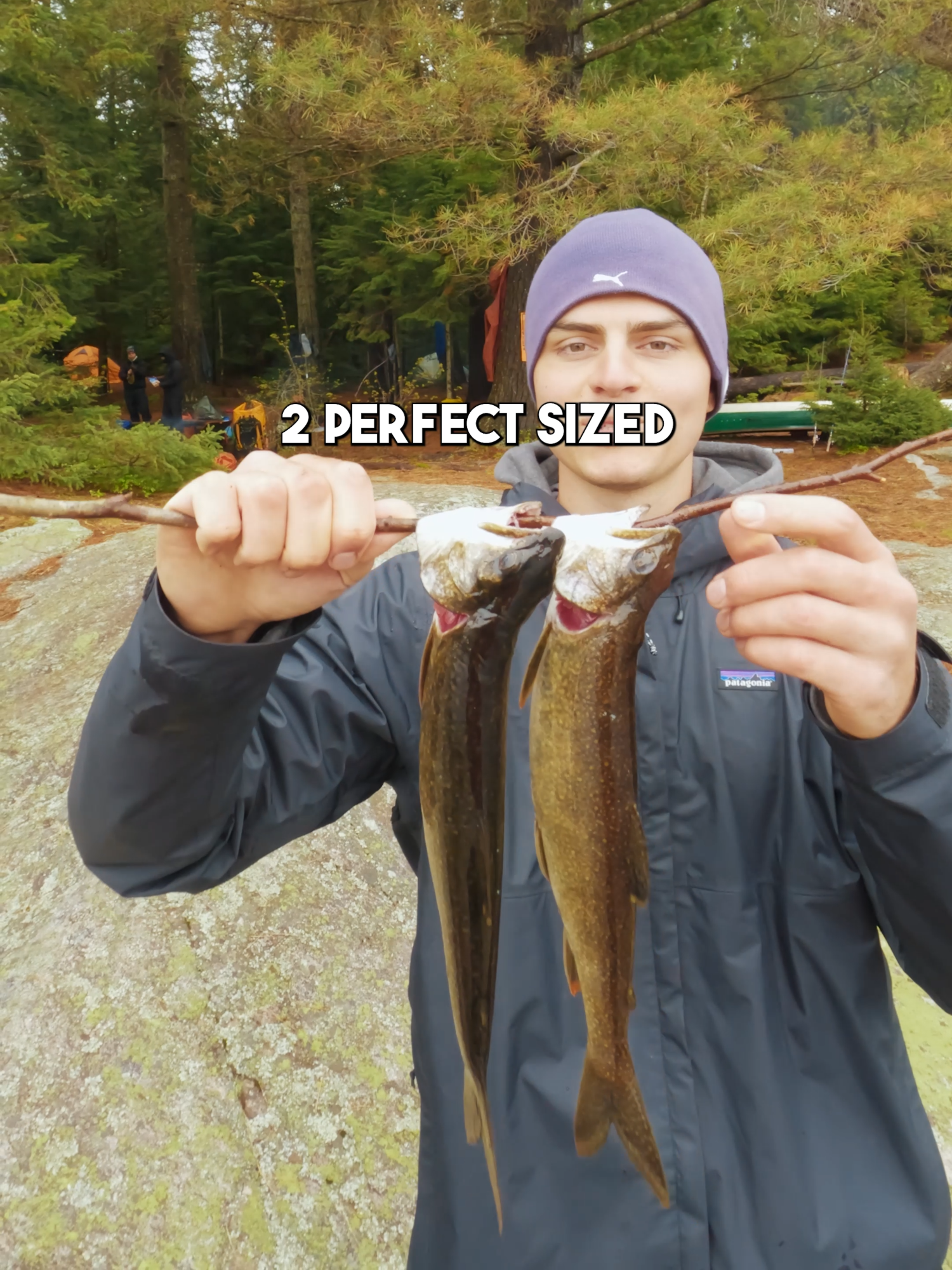 @Stef Fish