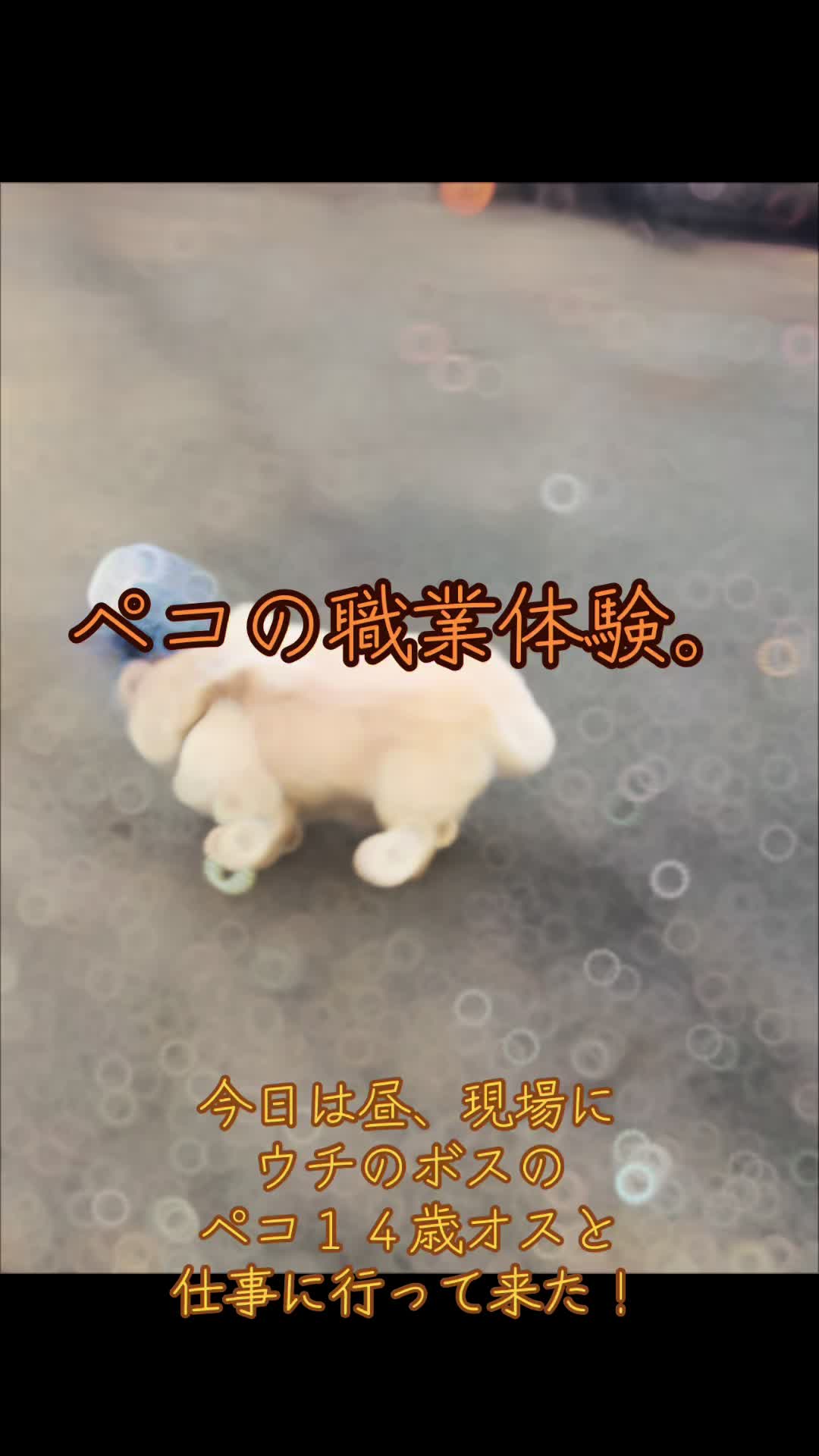 @オクラ