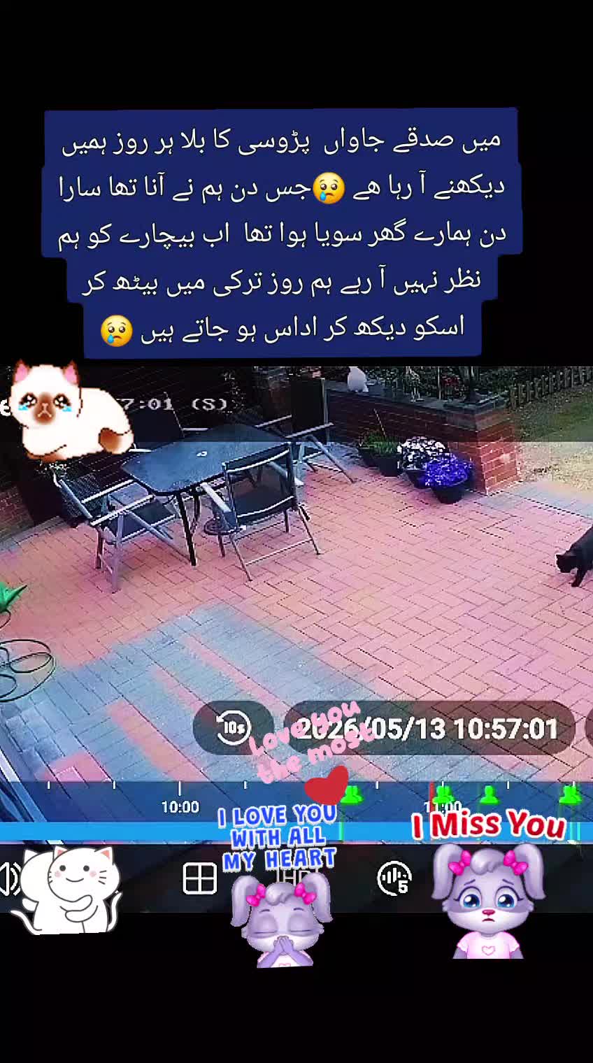 @Zubi🙋♀️زوبی