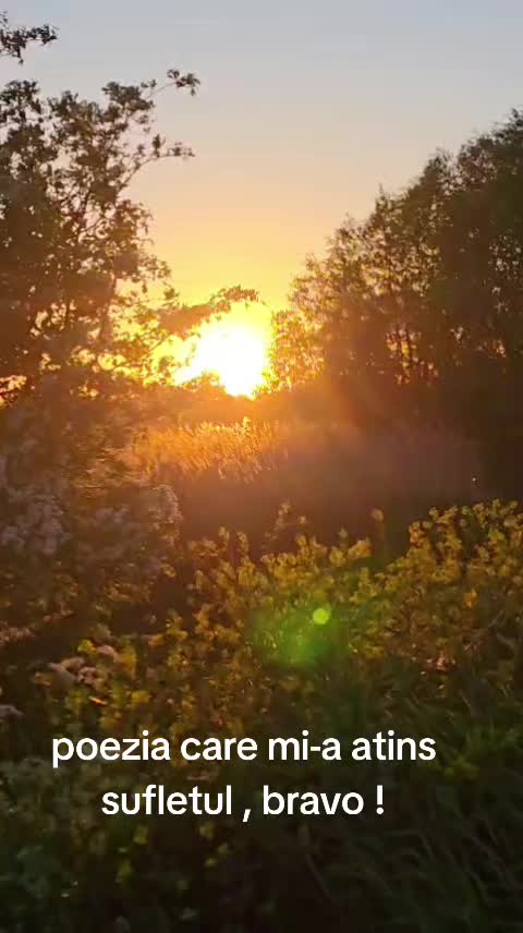 @Dolhescu Andre