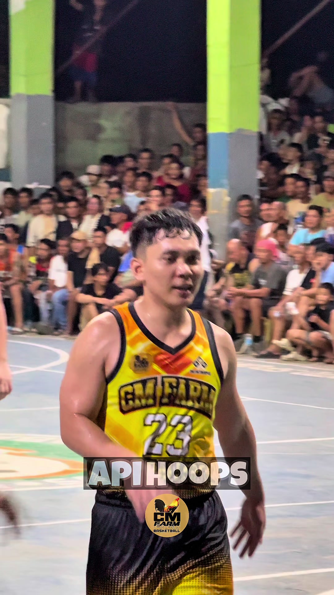 @apihoops_