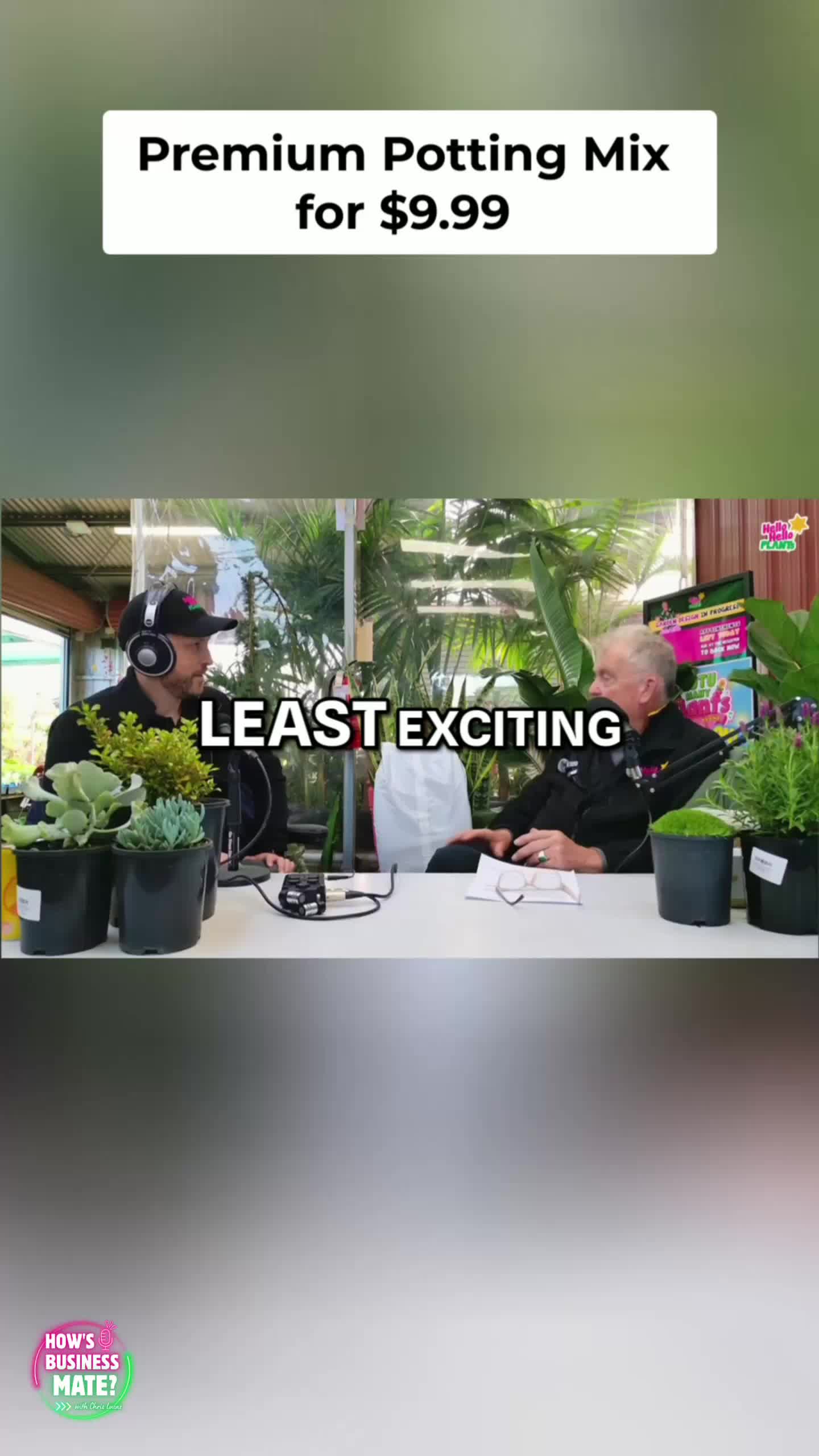 @Hello Hello Plants Nursery