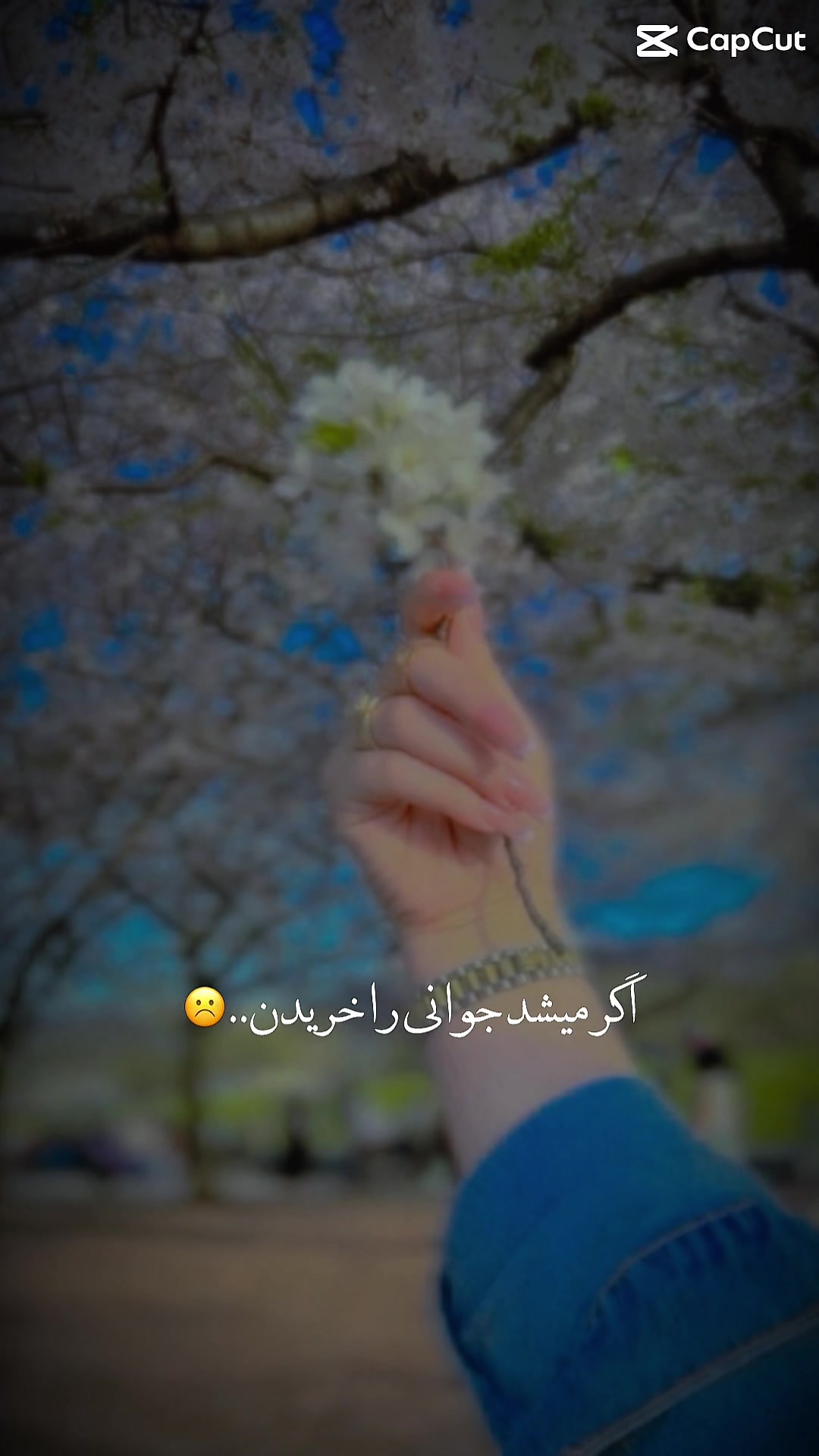 @queenhamta5