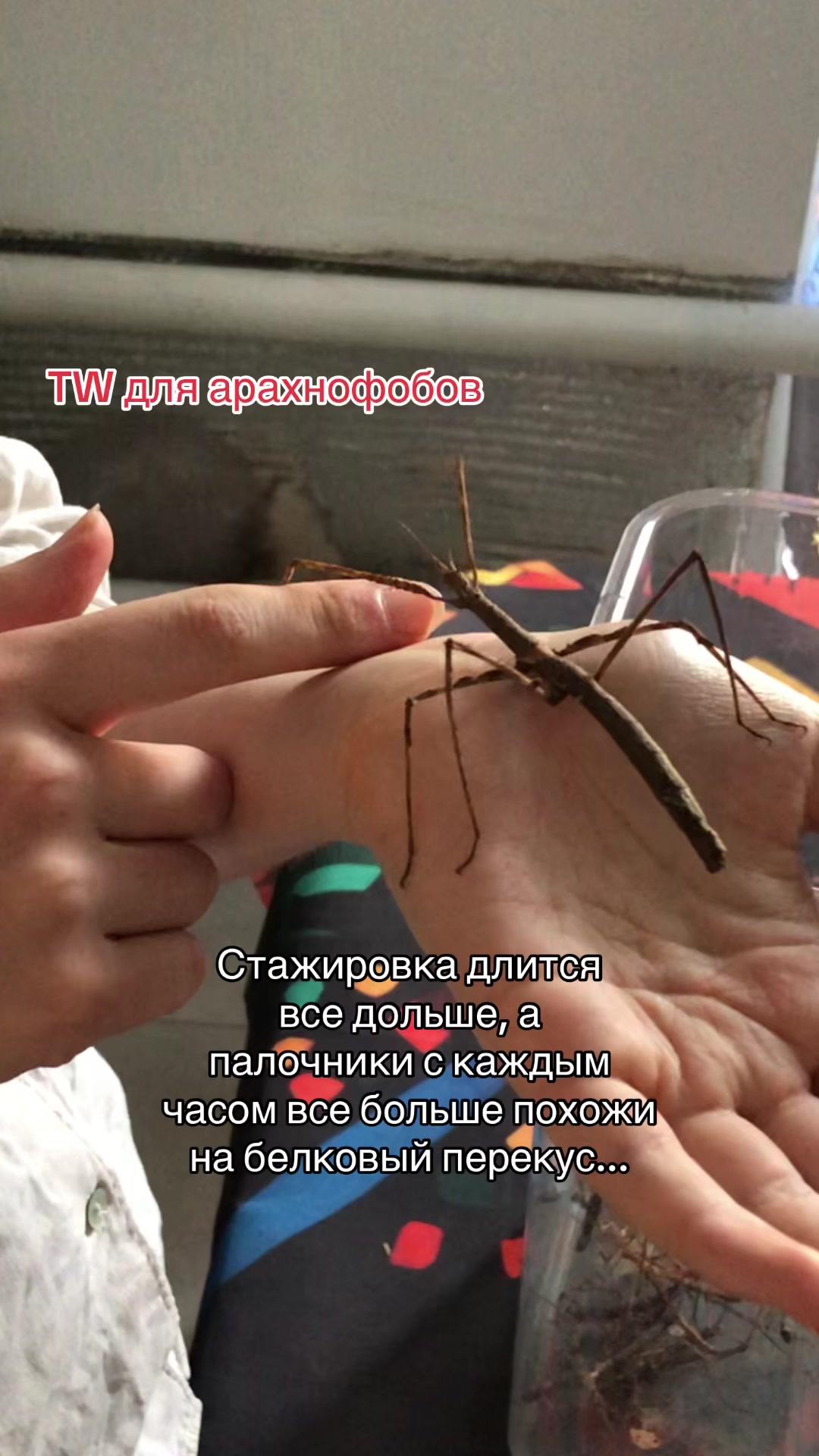 @Тгк: catislosingweight