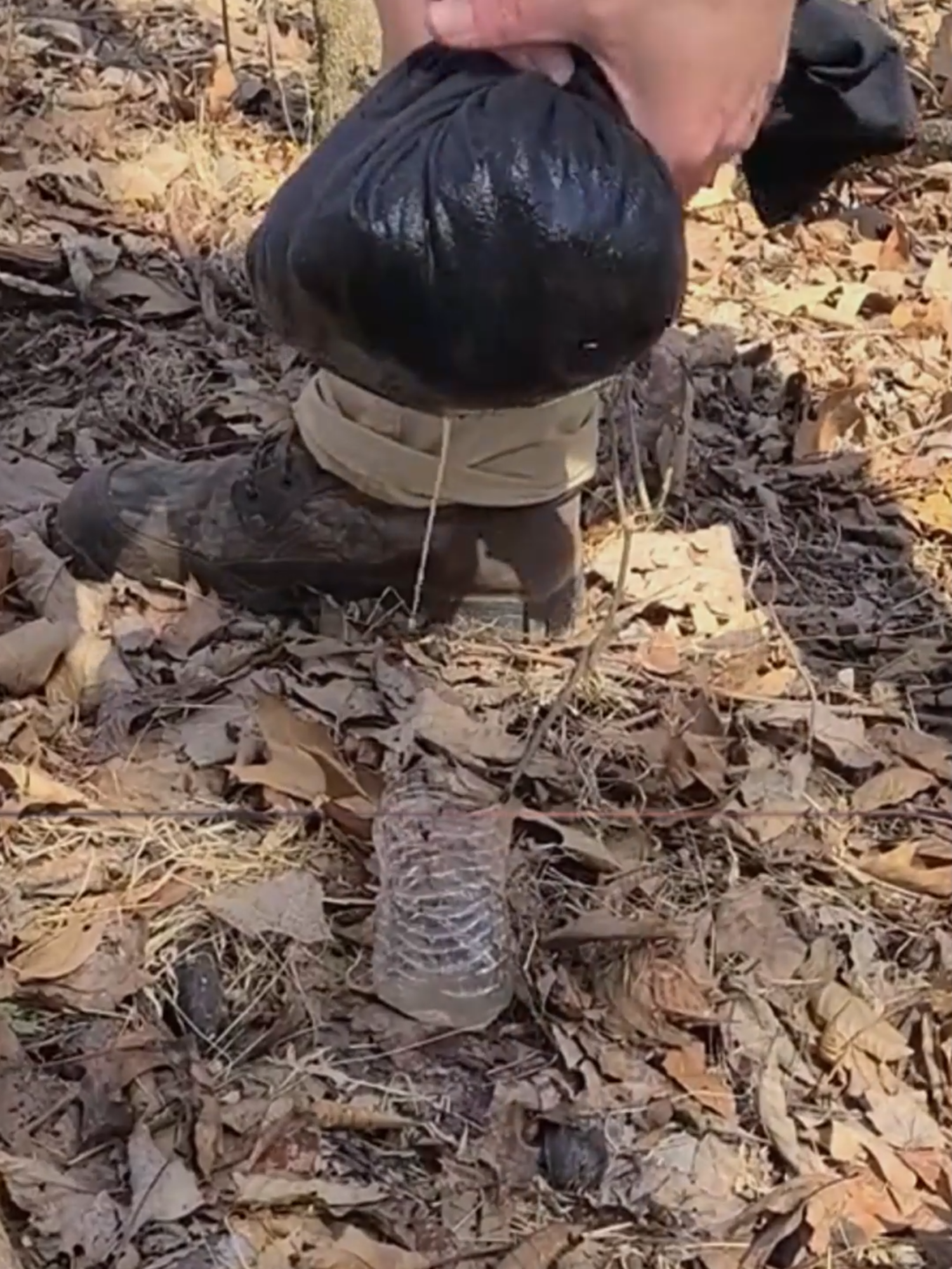 @Survive in The Forest