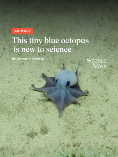 @Science News