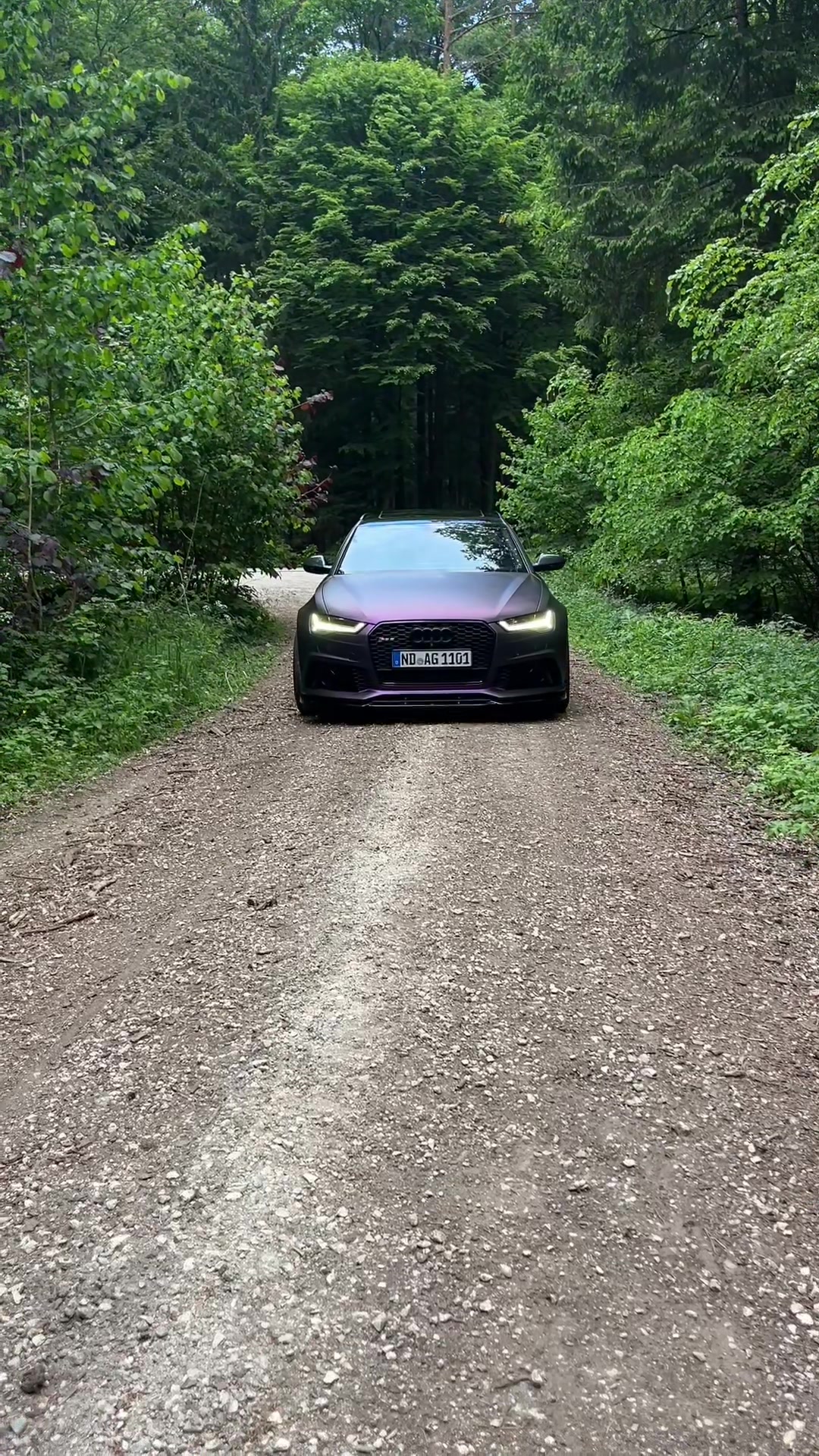 @GREEN_RS6