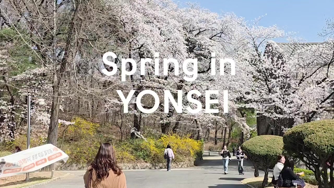 @🦅연세대학교🦅