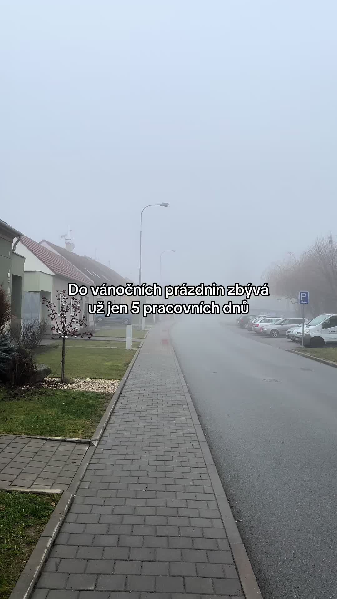 @prosteodpocty