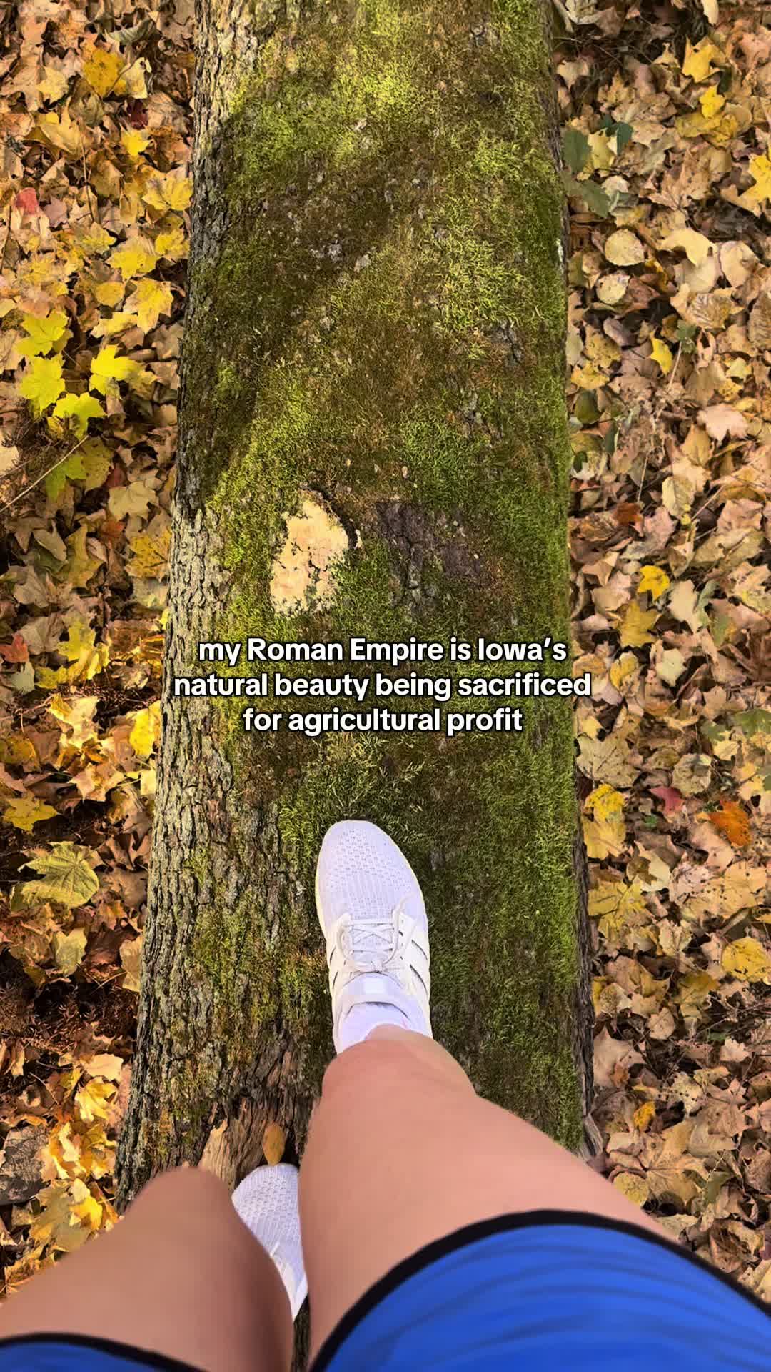 @LizFromIowa