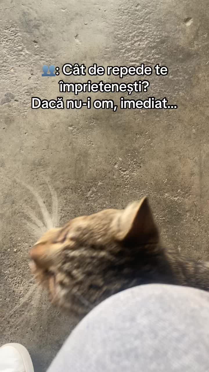 @Alexuța 🫡❤️