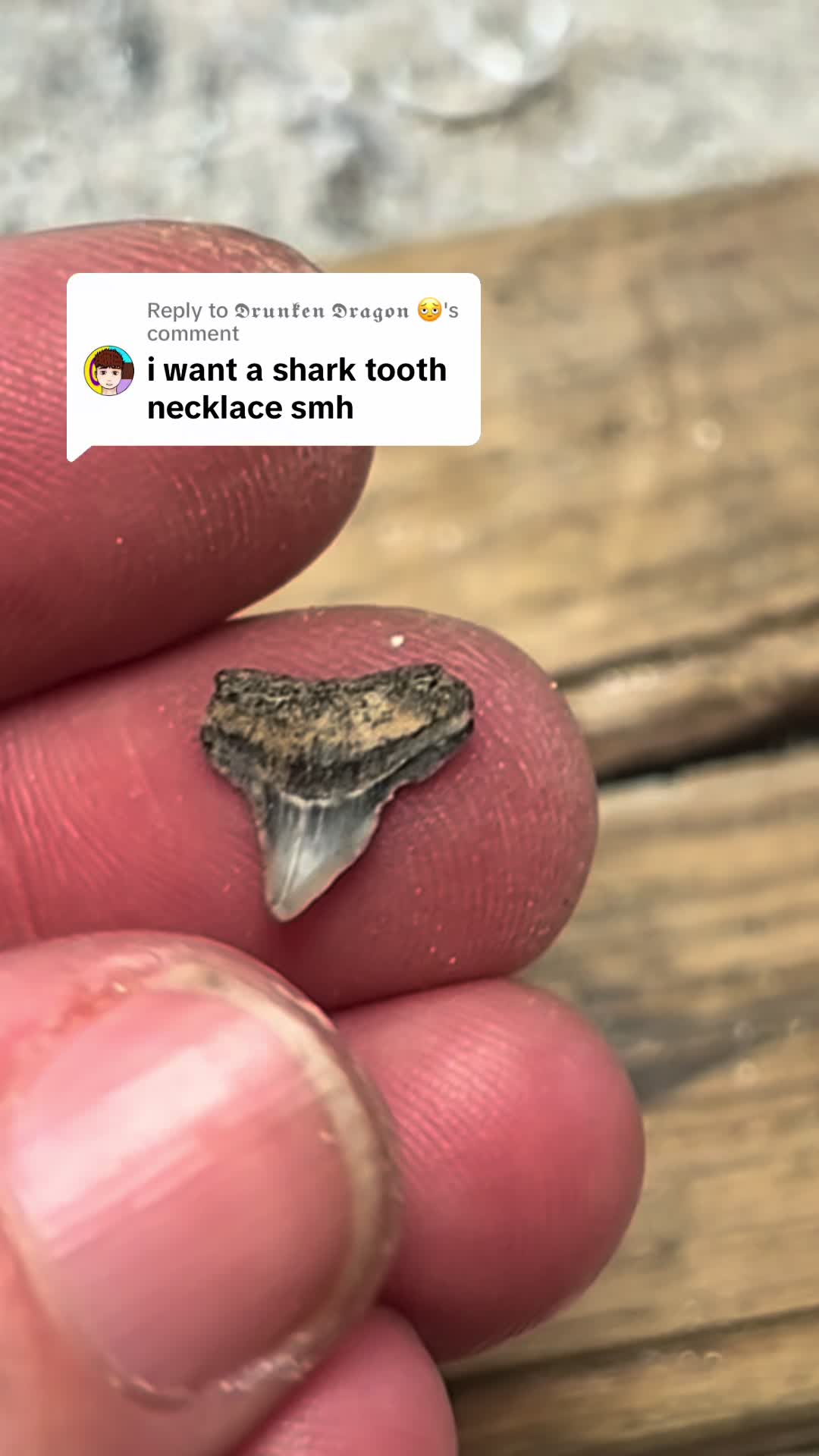 @Shed_Maid